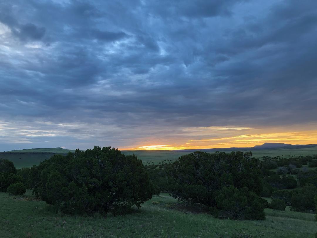 52 & 62 Wildflower Trail, Quemado, New Mexico image 4