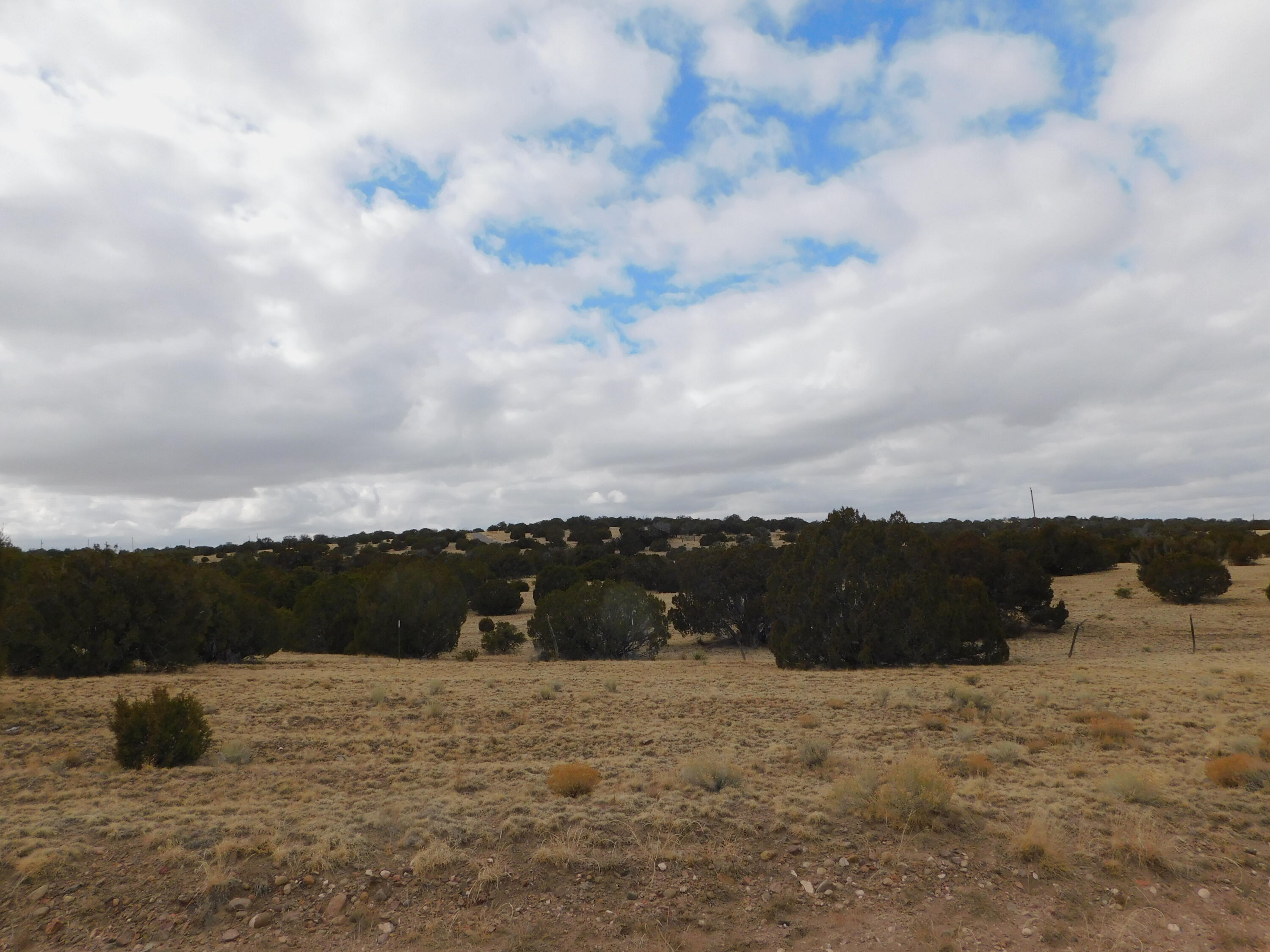 52 & 62 Wildflower Trail, Quemado, New Mexico image 20