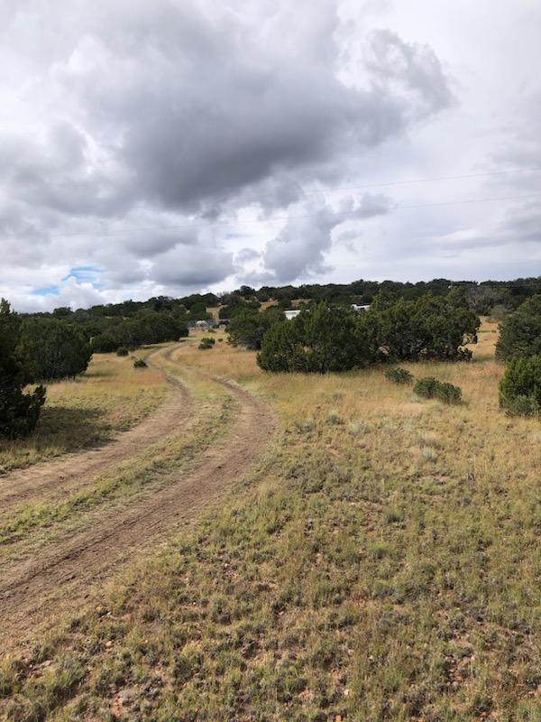 52 & 62 Wildflower Trail, Quemado, New Mexico image 22