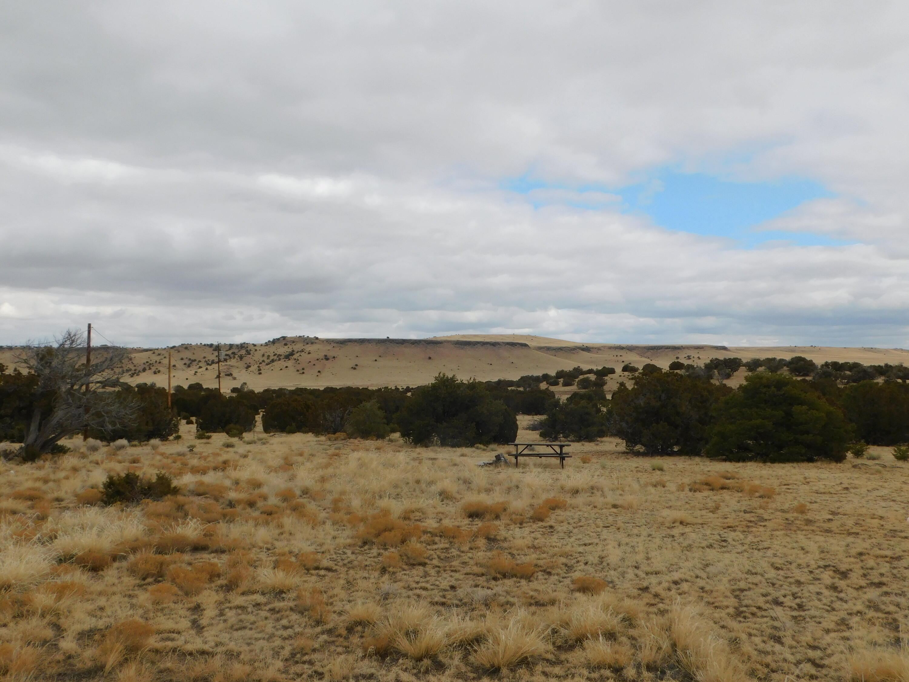 52 & 62 Wildflower Trail, Quemado, New Mexico image 12