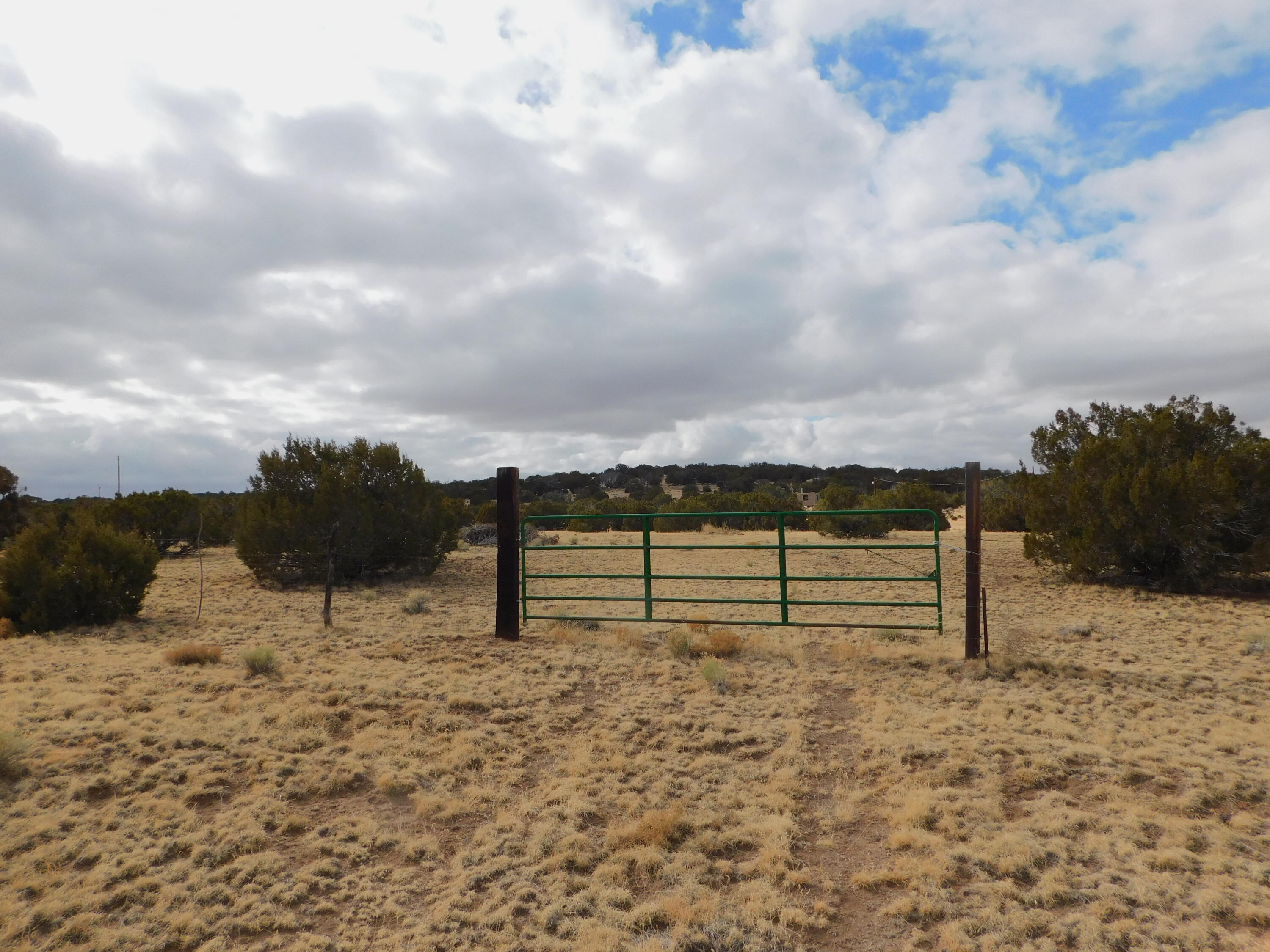 52 & 62 Wildflower Trail, Quemado, New Mexico image 6