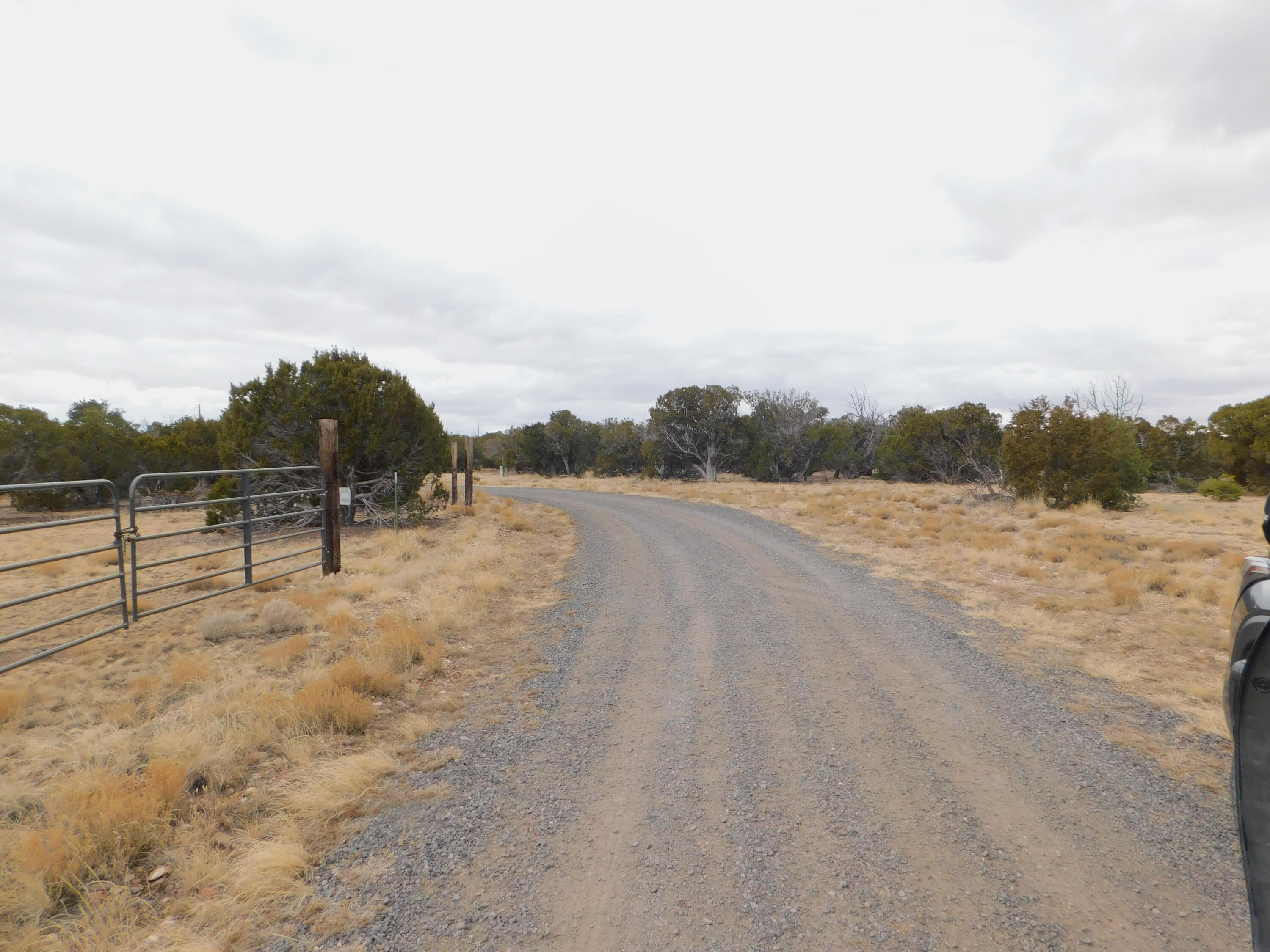 52 & 62 Wildflower Trail, Quemado, New Mexico image 25