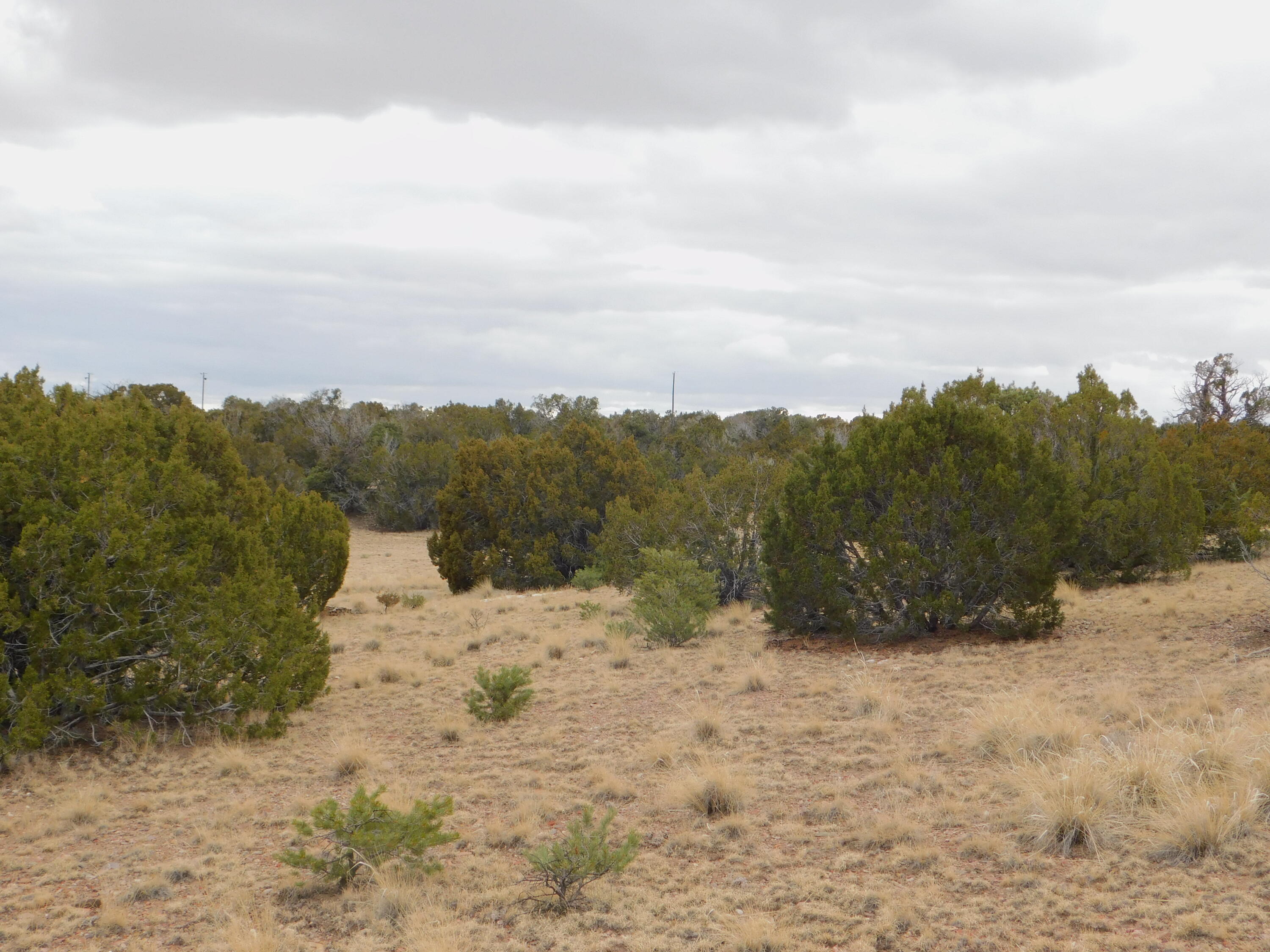 52 & 62 Wildflower Trail, Quemado, New Mexico image 15