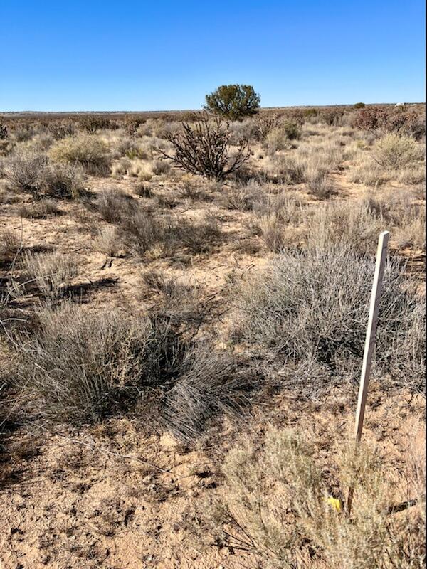 6th Street, Rio Rancho, New Mexico image 5