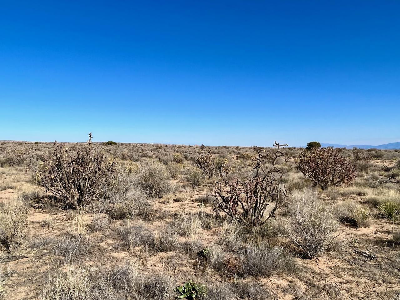 6th Street, Rio Rancho, New Mexico image 6