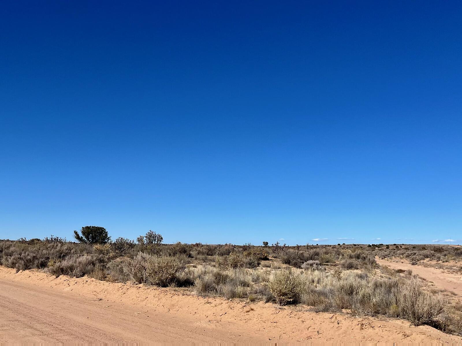 6th Street, Rio Rancho, New Mexico image 8
