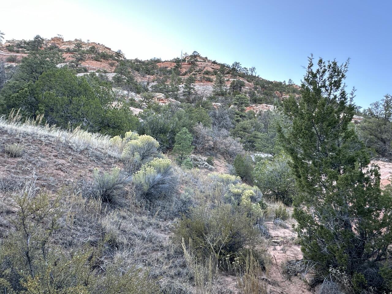 R300935 Box S Ranch Road, Ramah, New Mexico image 7