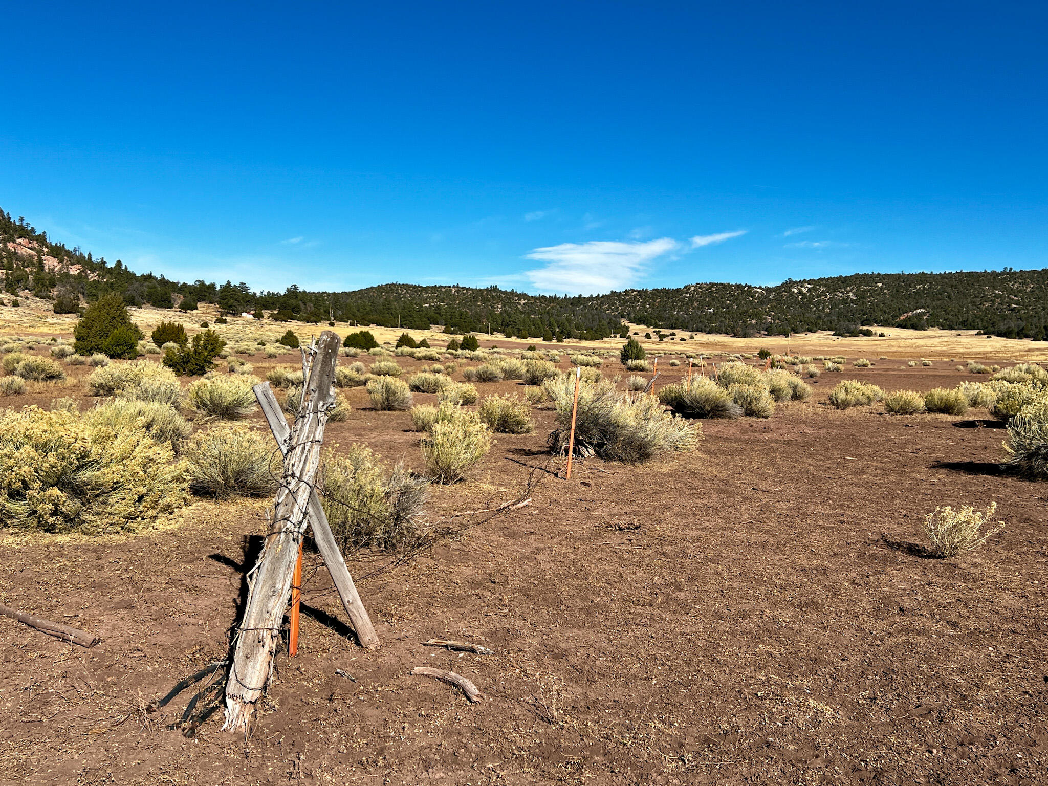 R300935 Box S Ranch Road, Ramah, New Mexico image 5