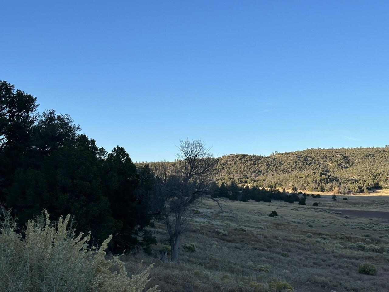 R300935 Box S Ranch Road, Ramah, New Mexico image 11