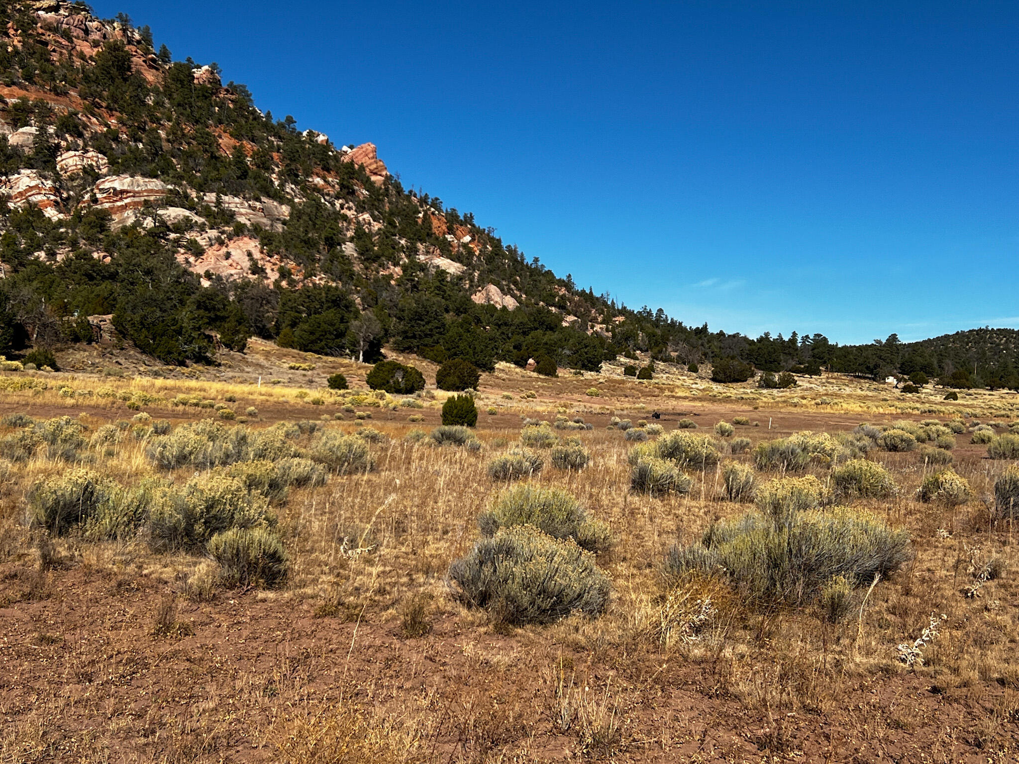 R300935 Box S Ranch Road, Ramah, New Mexico image 4