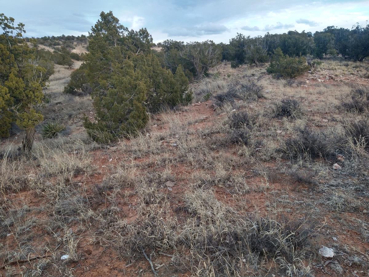 Tract 8 Bridle Path Loop, Mountainair, New Mexico image 13