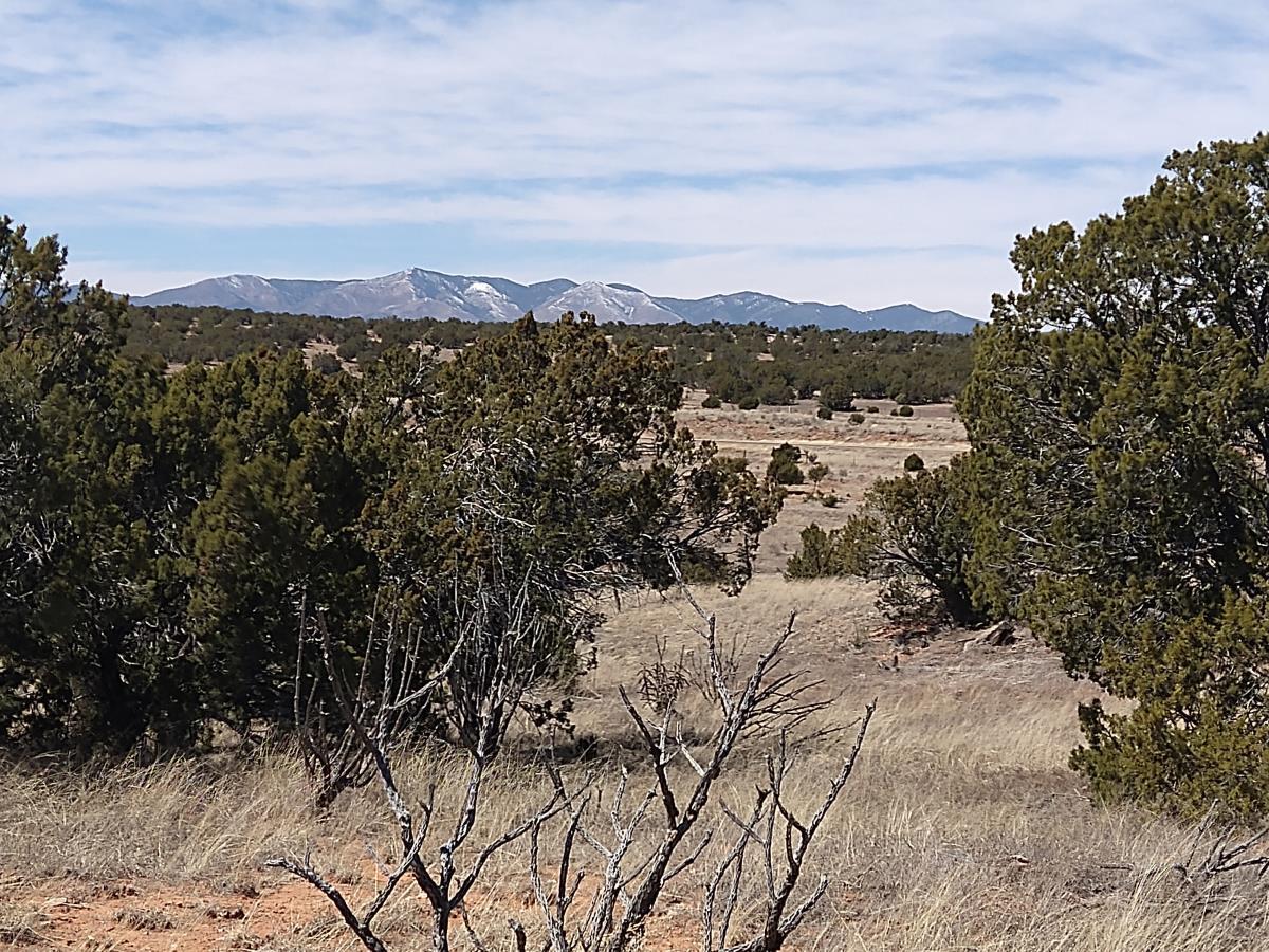 Tract 8 Bridle Path Loop, Mountainair, New Mexico image 17