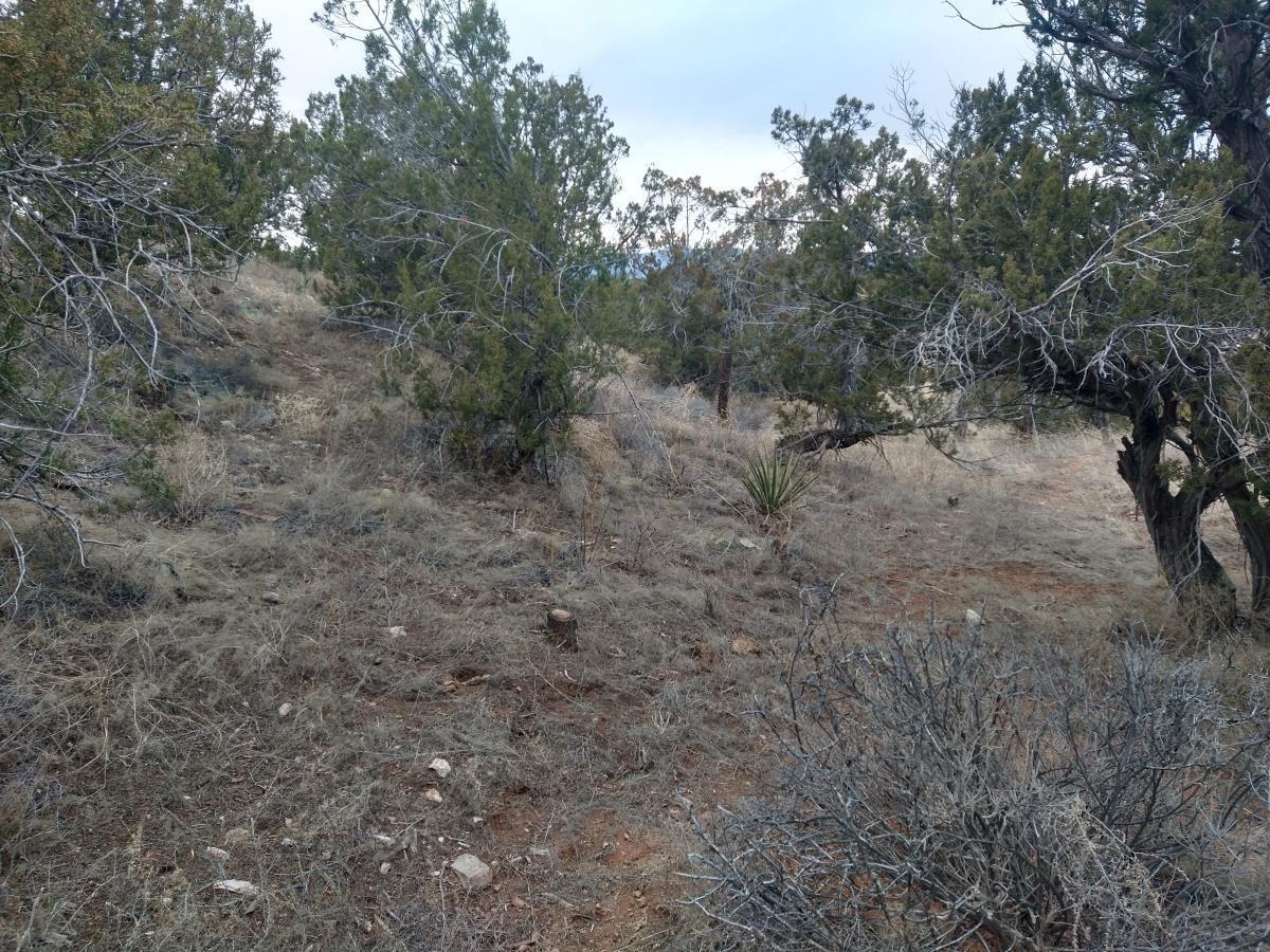 Tract 8 Bridle Path Loop, Mountainair, New Mexico image 12