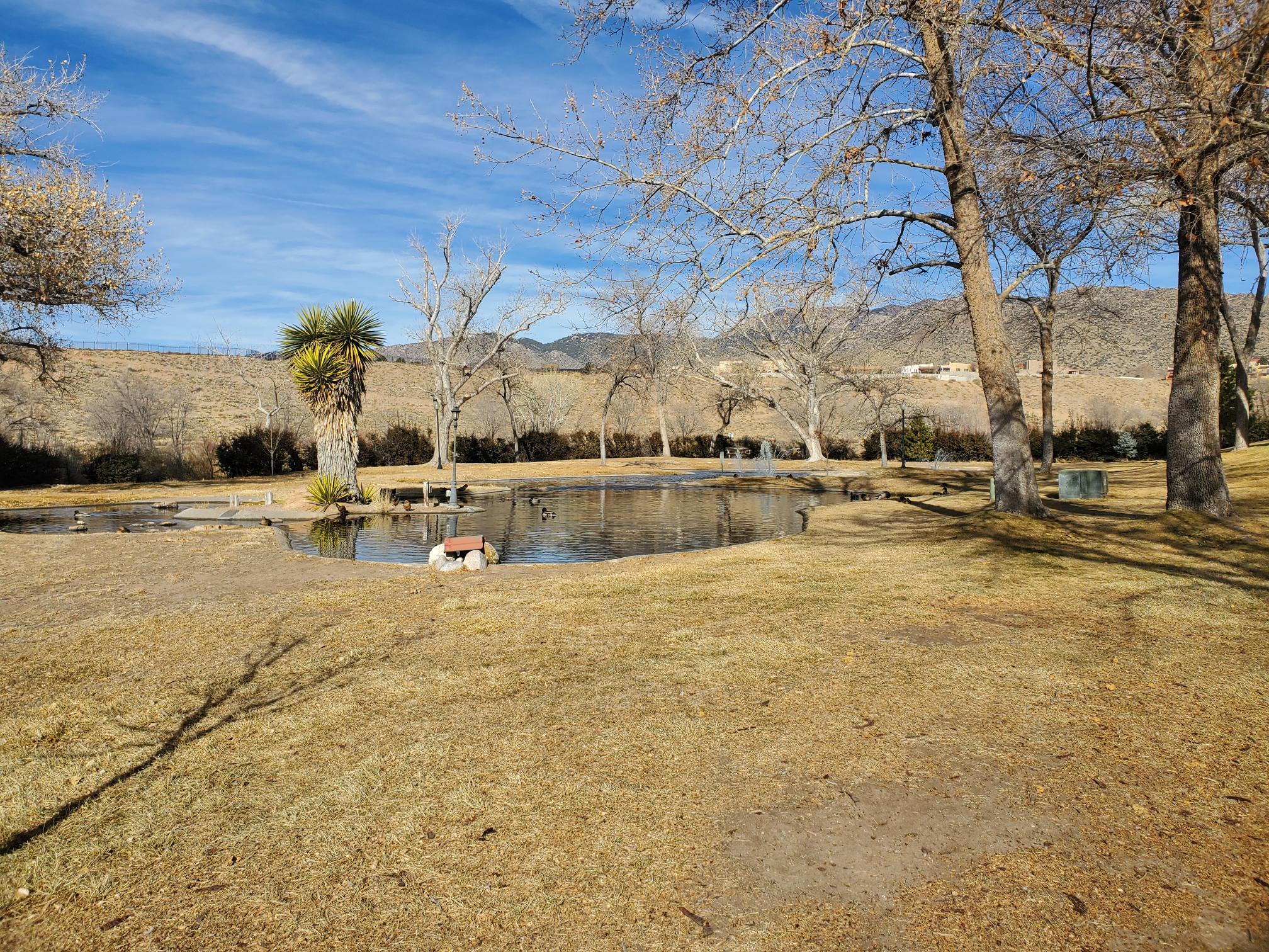 13324 Chaco Cliff Trail, Albuquerque, New Mexico image 38