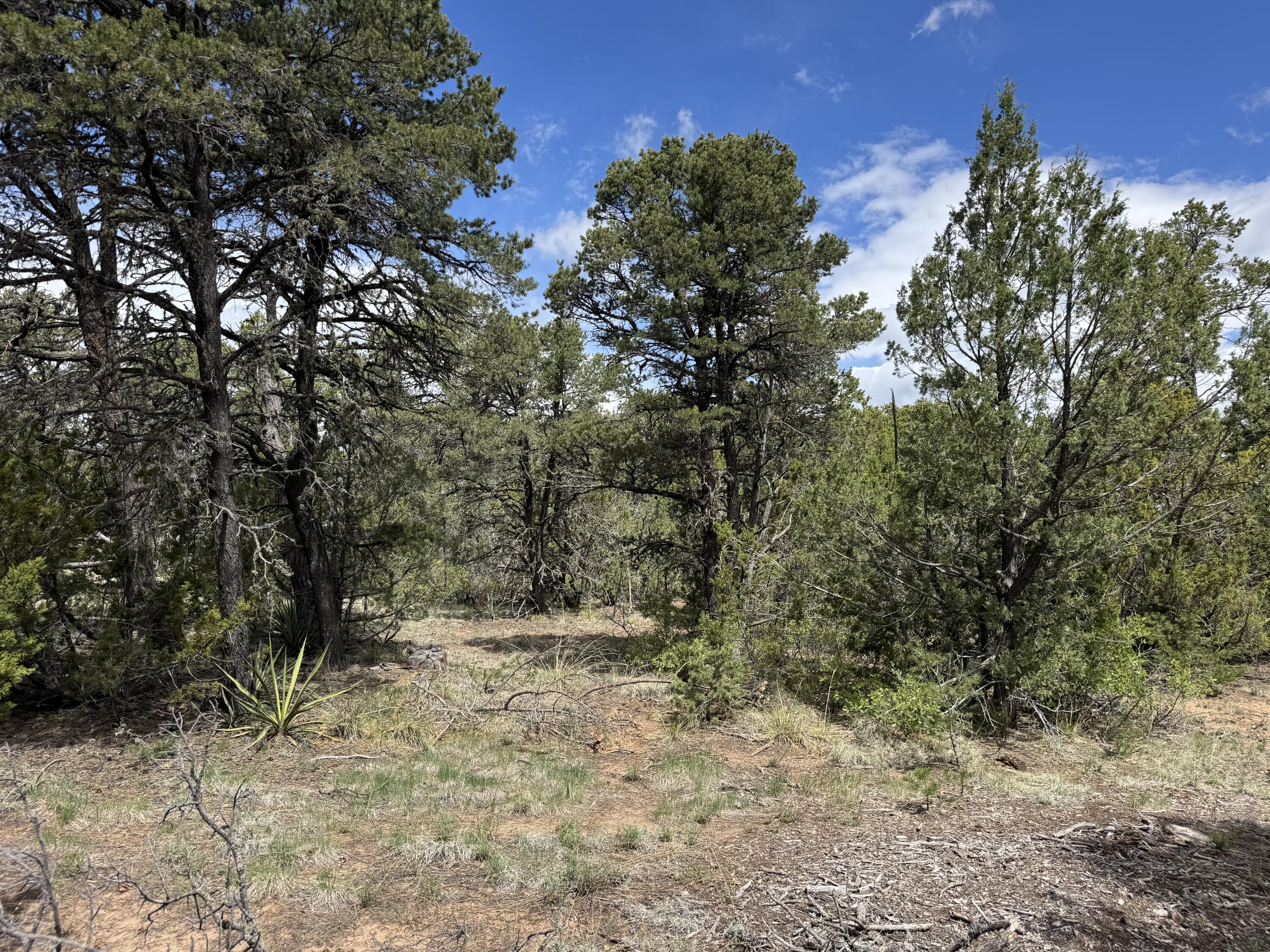 Tract 1 Gonzales Road, Edgewood, New Mexico image 5