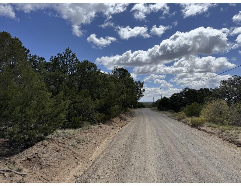 Tract 1 Gonzales Road, Edgewood, New Mexico image 4