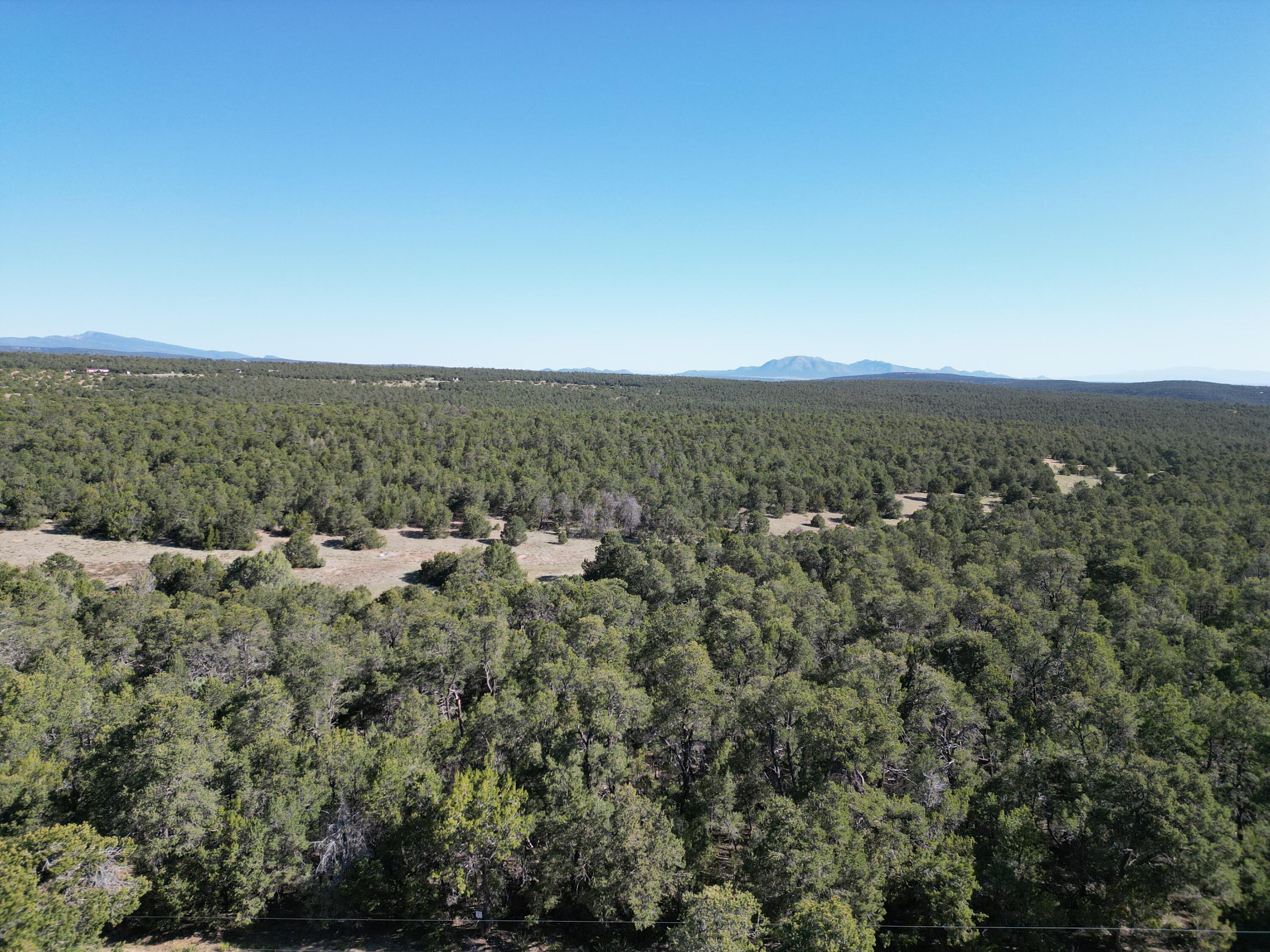 Tract 1 Gonzales Road, Edgewood, New Mexico image 7
