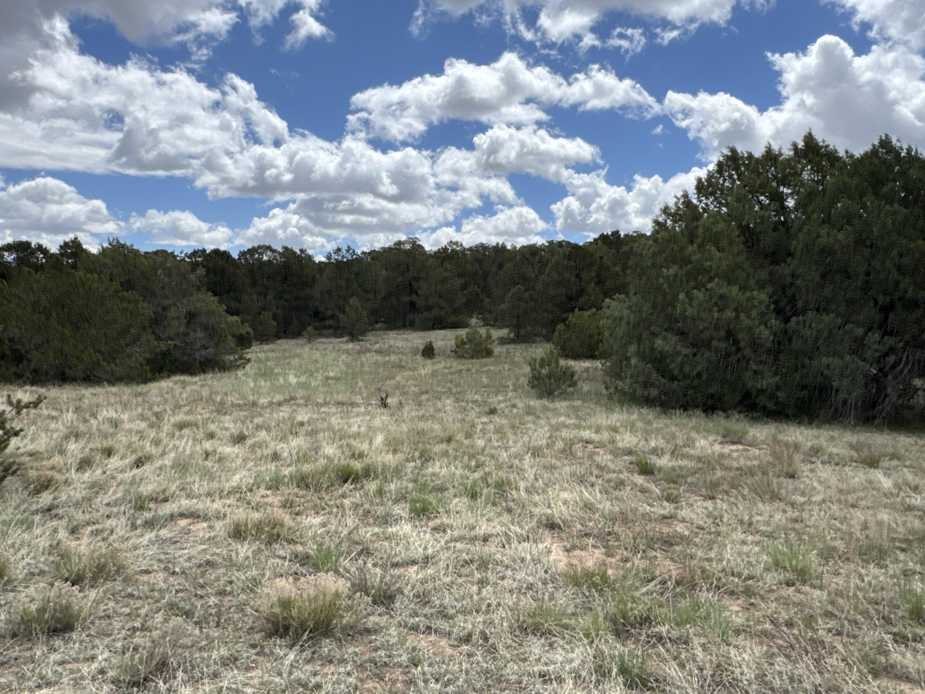 Tract 1 Gonzales Road, Edgewood, New Mexico image 6