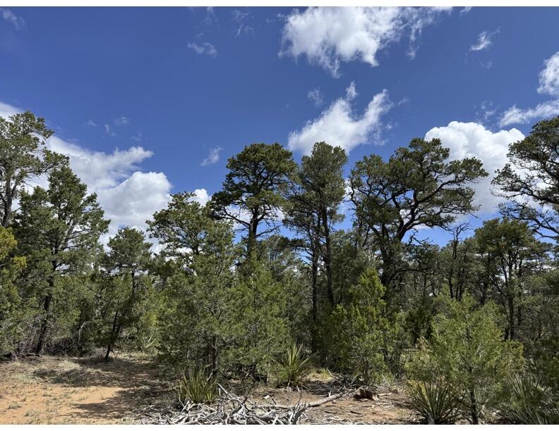 Tract 1 Gonzales Road, Edgewood, New Mexico image 3
