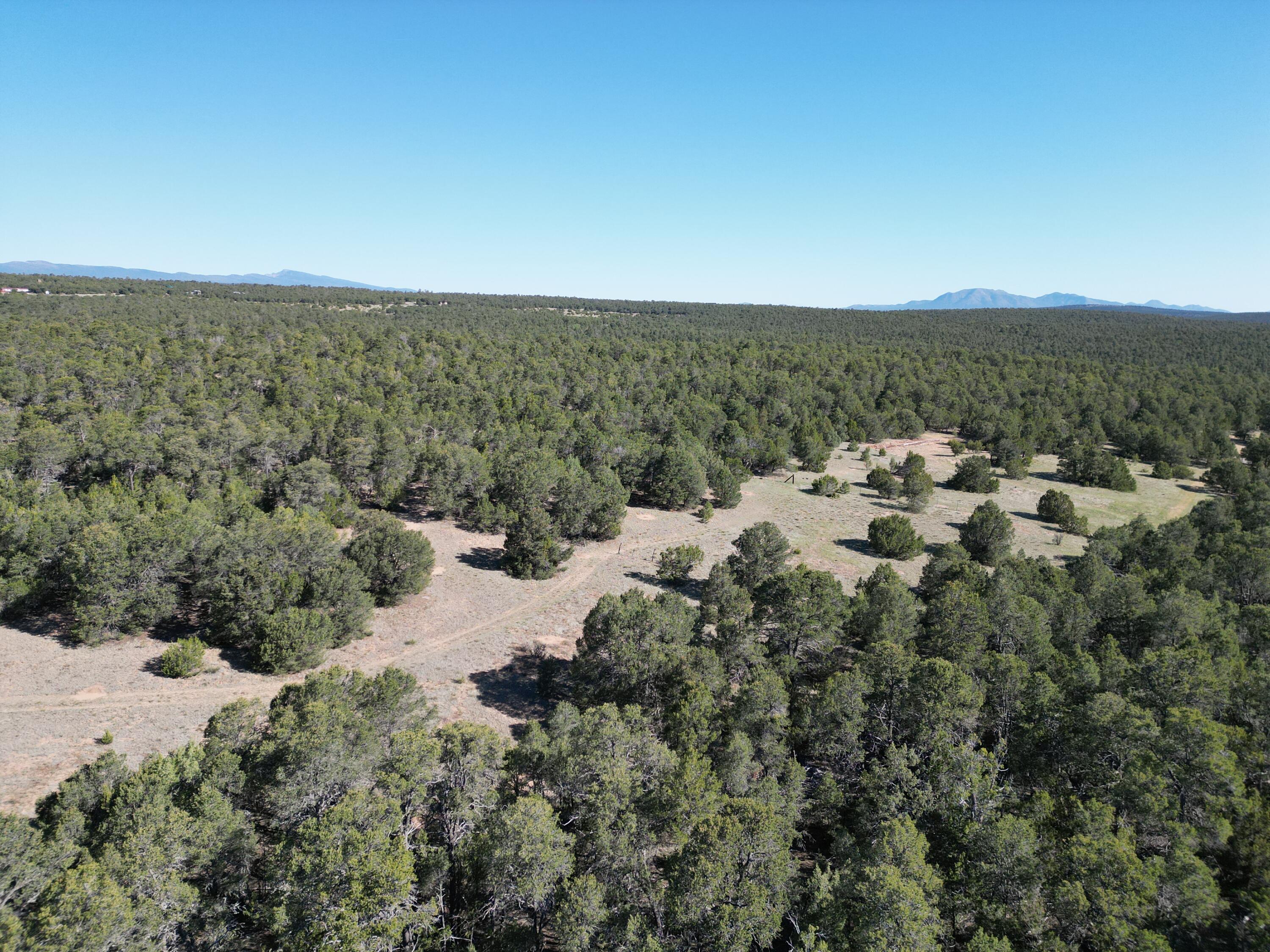 Tract 1 Gonzales Road, Edgewood, New Mexico image 1