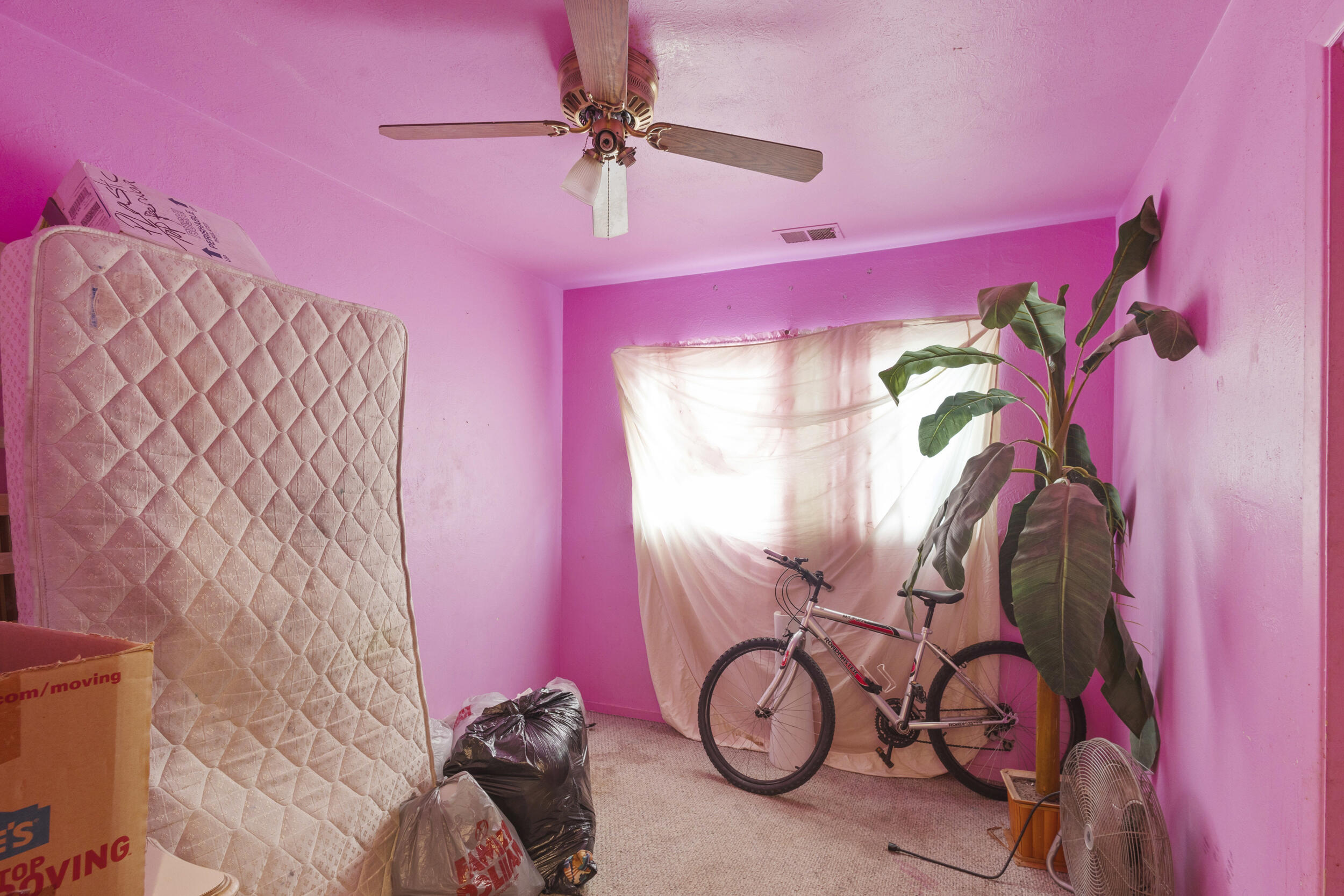 9717 Constitution Avenue, Albuquerque, New Mexico image 16