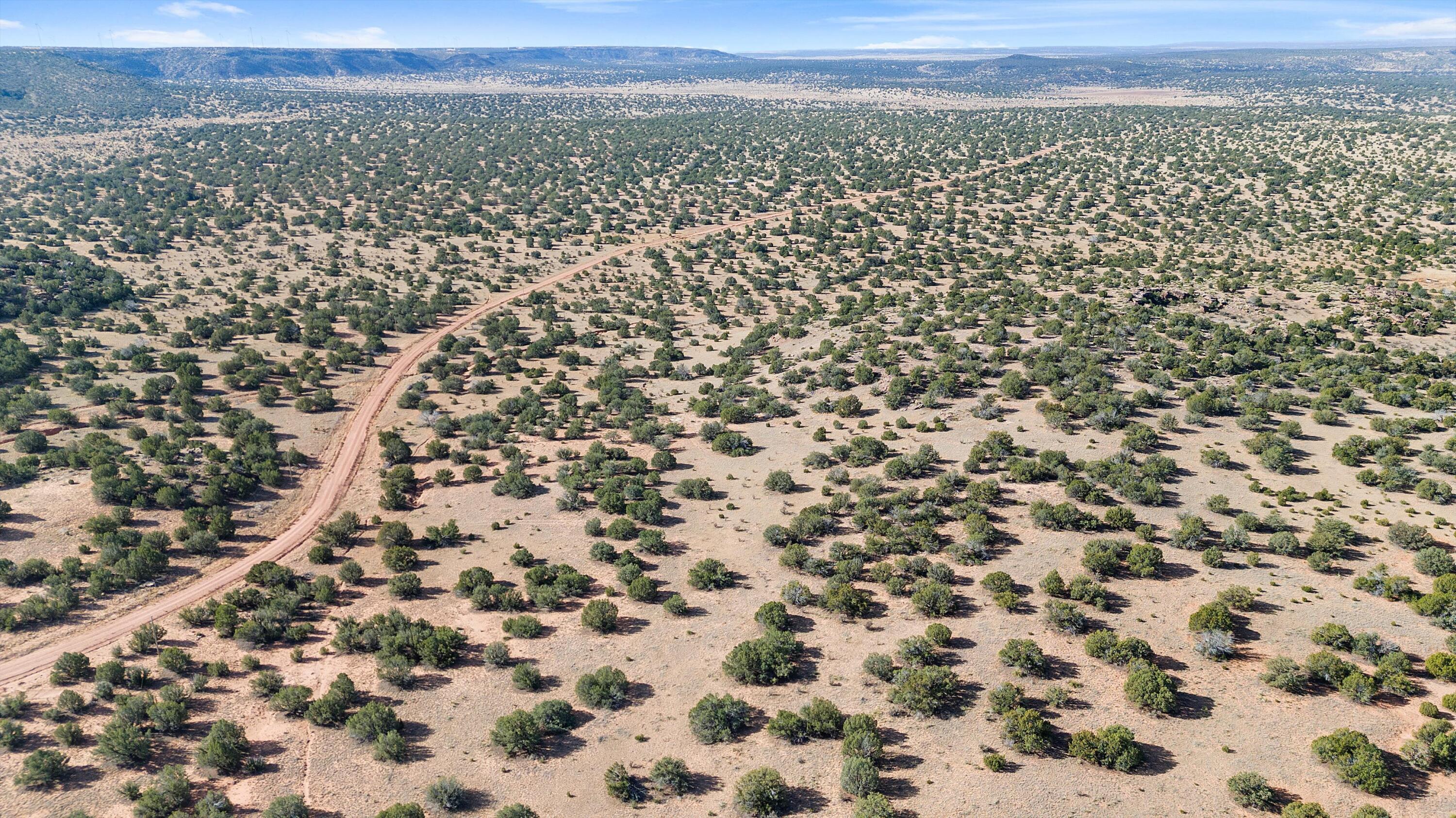 1779 Lost Saddle Loop, Santa Rosa, New Mexico image 8