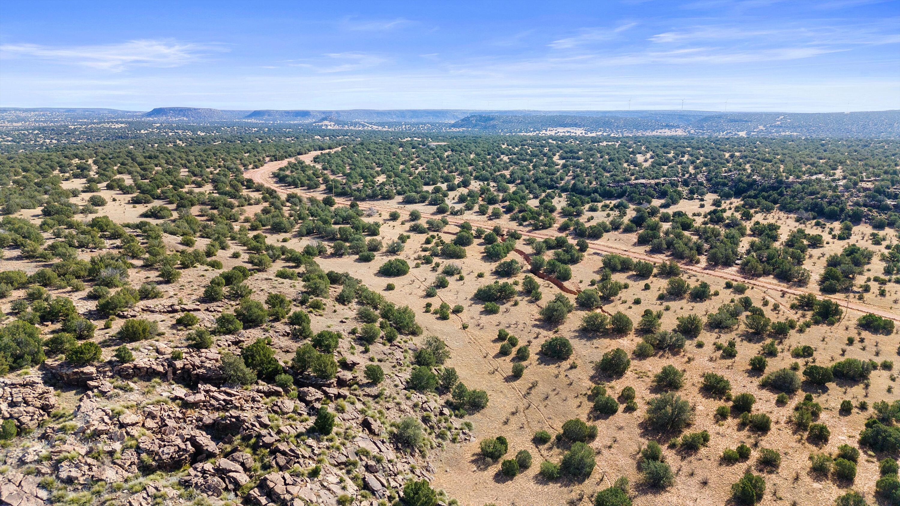 1779 Lost Saddle Loop, Santa Rosa, New Mexico image 5