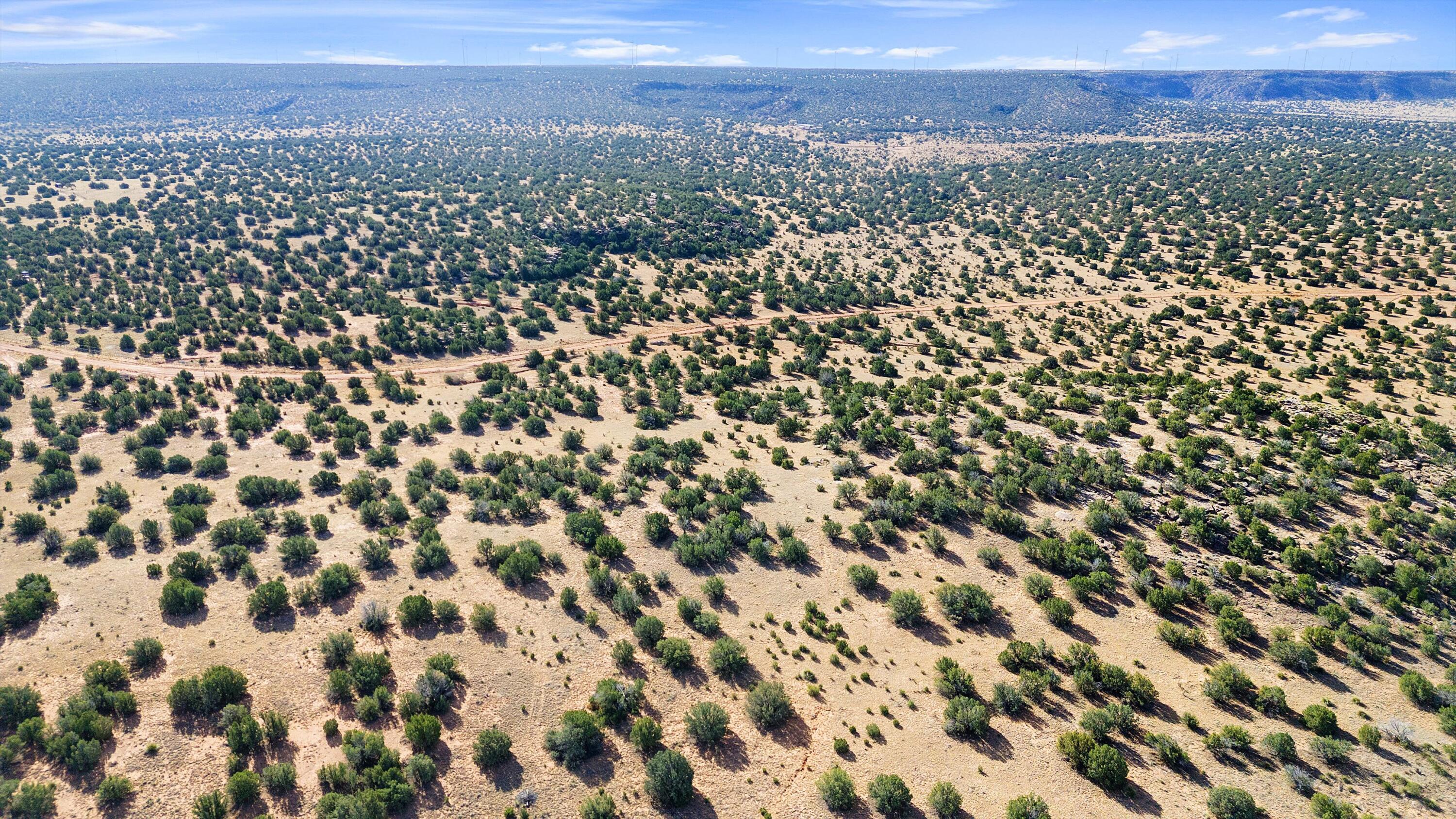 1779 Lost Saddle Loop, Santa Rosa, New Mexico image 7