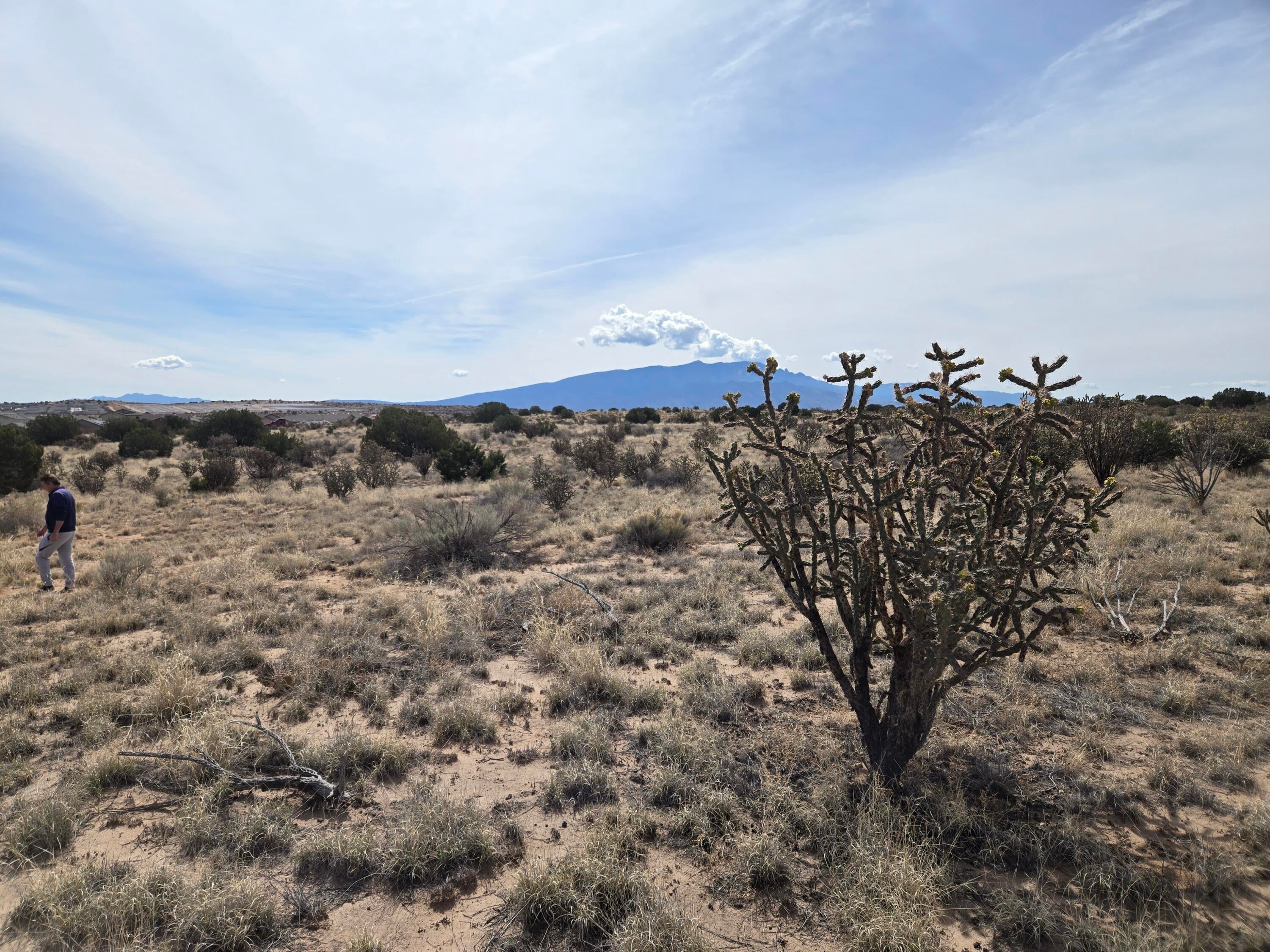 Greystone Loop 25