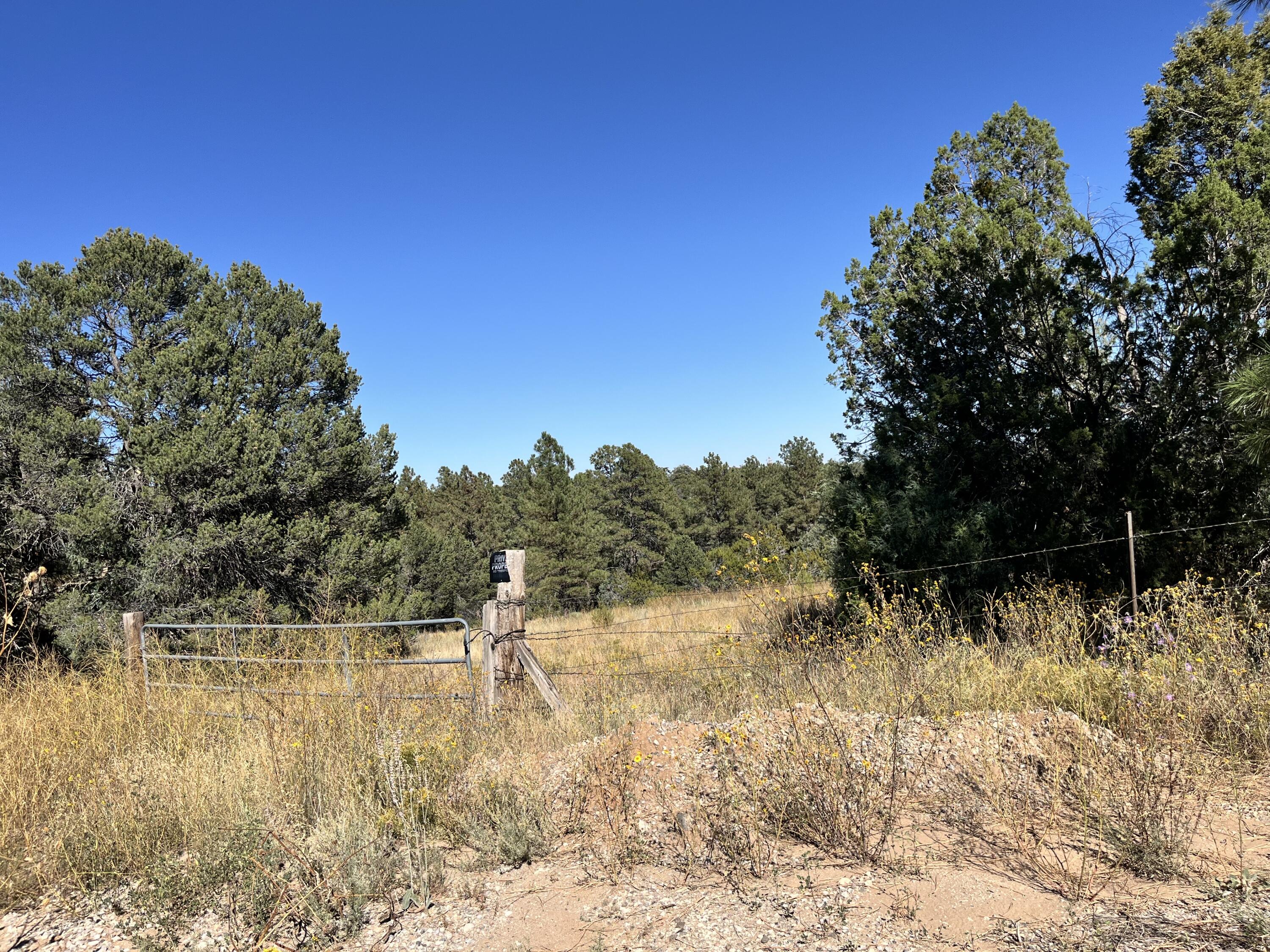 Mcguinnis Road, Tijeras, New Mexico image 7