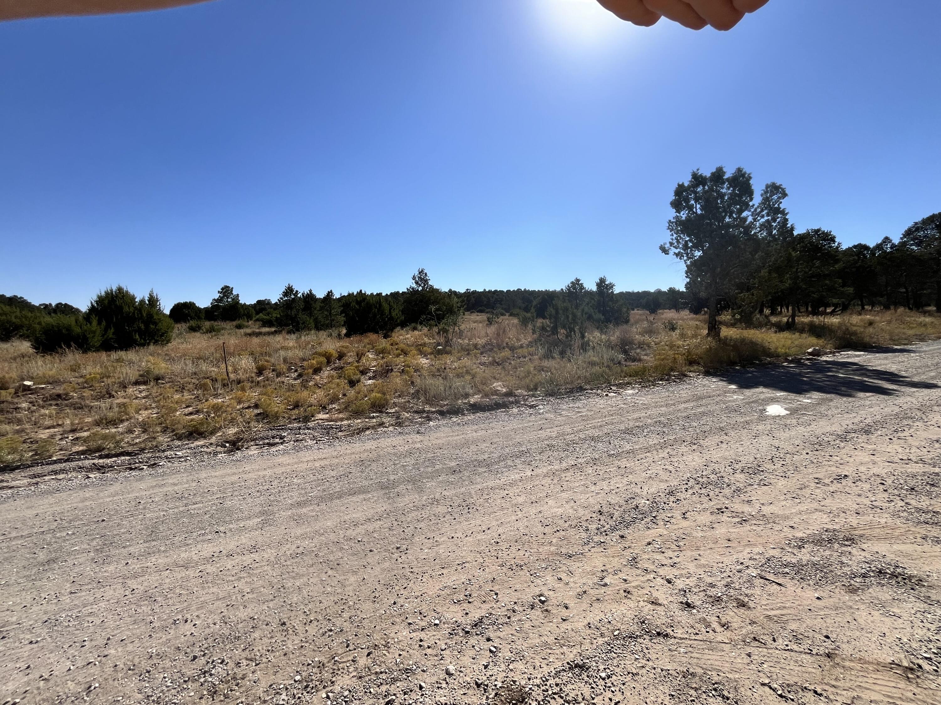 Mcguinnis Road, Tijeras, New Mexico image 2