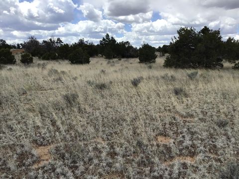 Vacant Land For Sale - LOT 38 Country Lane Ln<br/> Ramah, NM 87321
