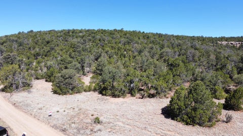 Vacant Land For Sale - Mountain Valley Drive<br/> Edgewood, NM 87015