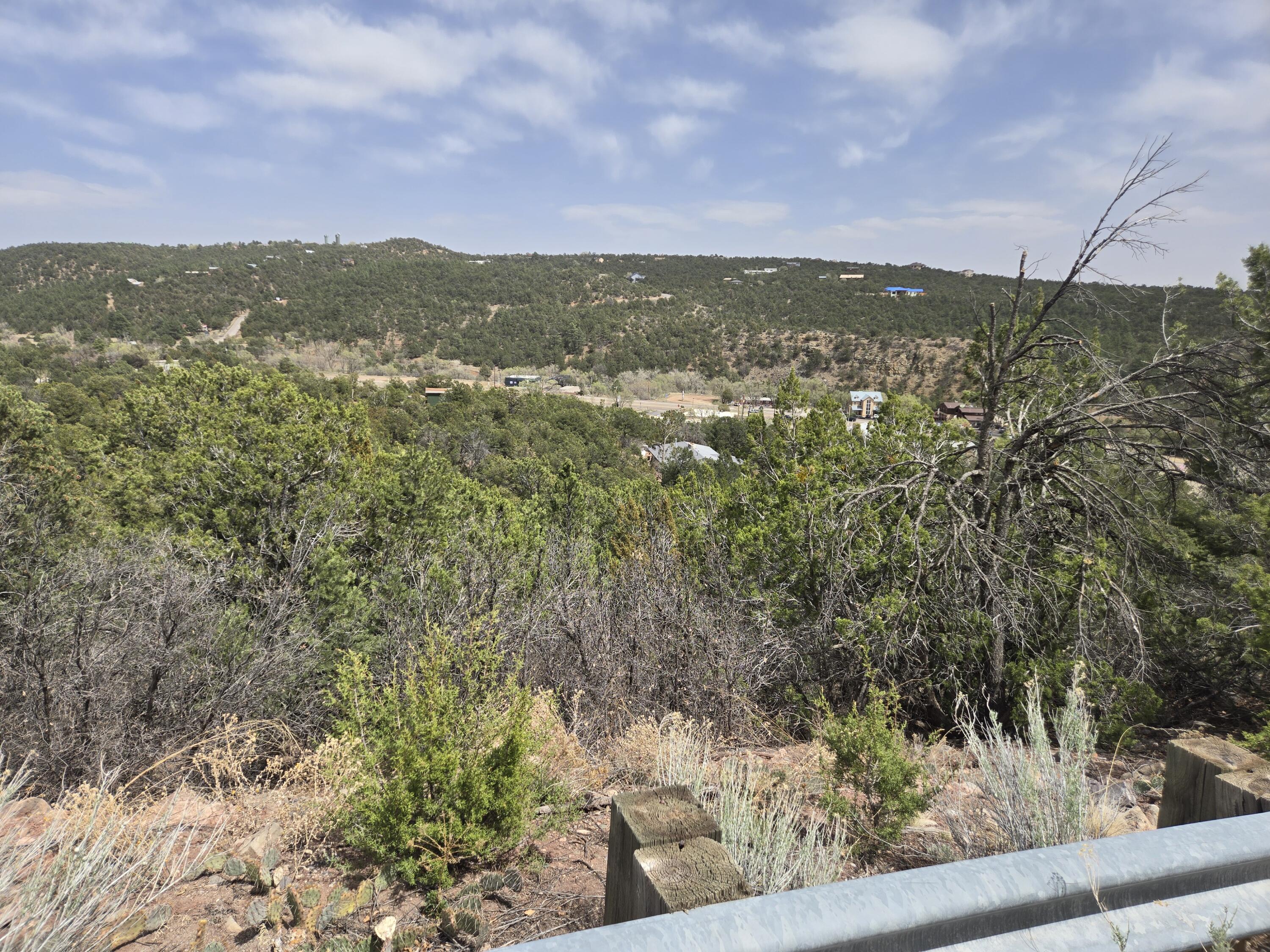 Lot 84 Manana Drive, Cedar Crest, New Mexico image 1