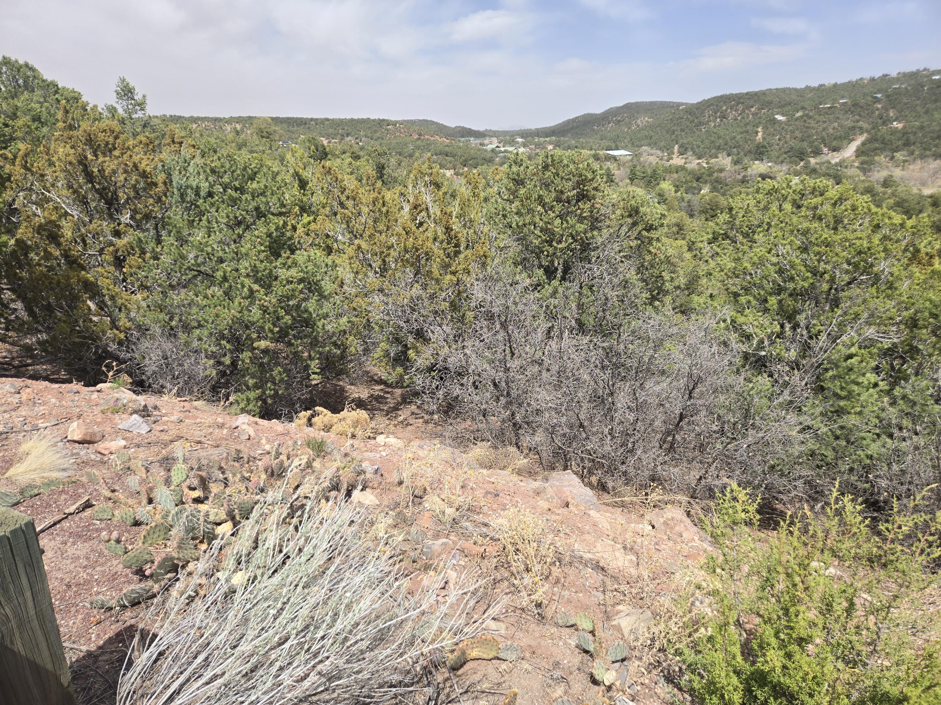 Lot 84 Manana Drive, Cedar Crest, New Mexico image 2