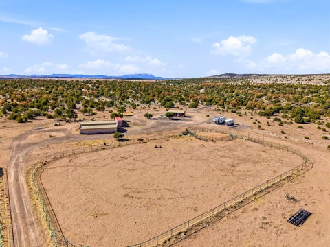 Vacant Land For Sale - 196 Cimarron Drive<br/> Catron County, Quemado, NM 87829