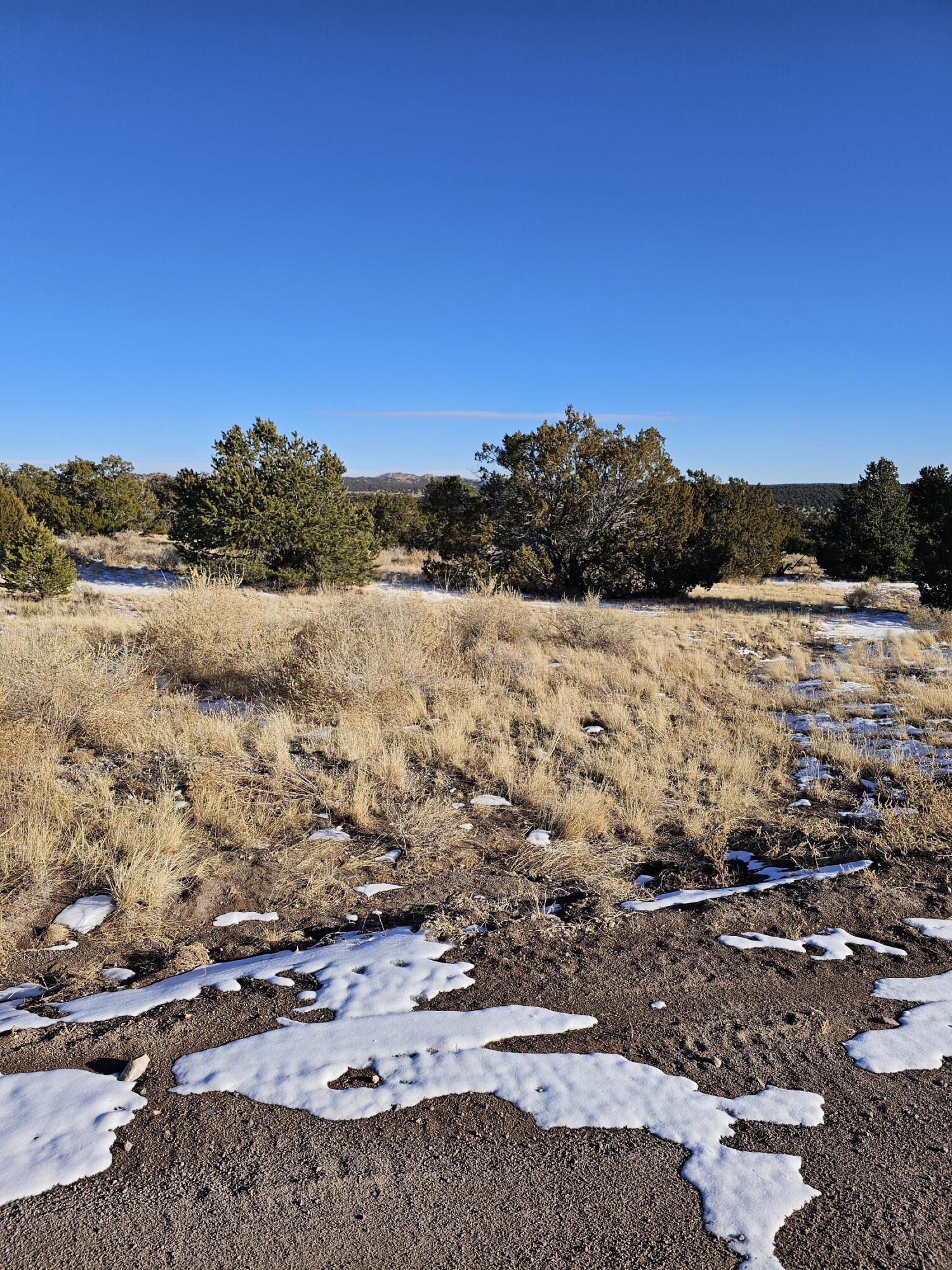 50 Highway 60, Pie Town, New Mexico image 1