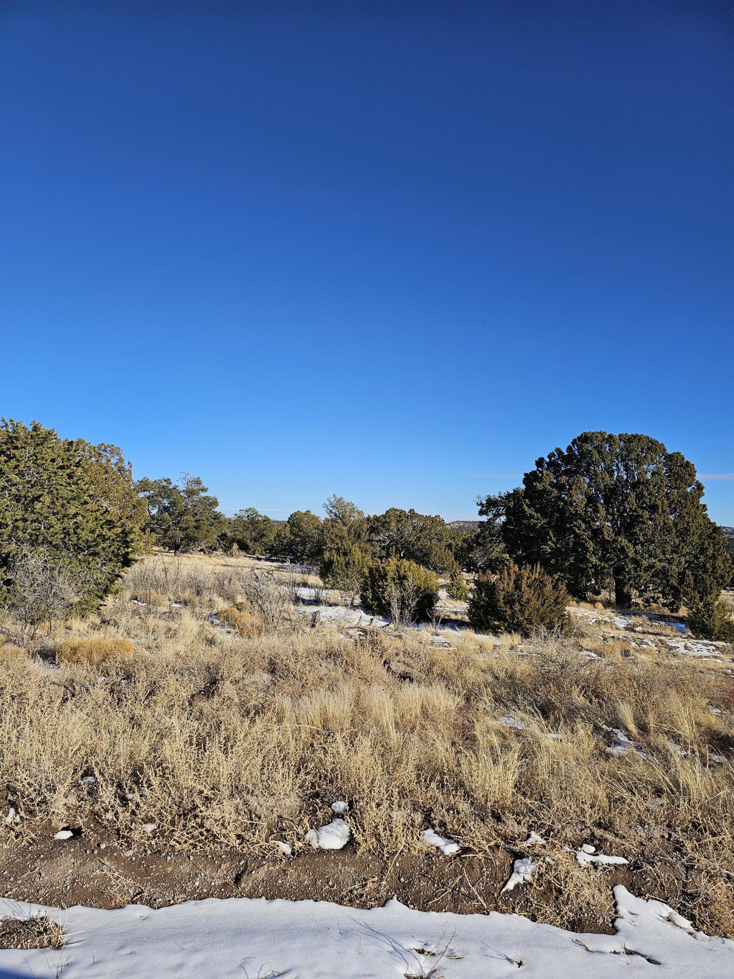 50 Highway 60, Pie Town, New Mexico image 5