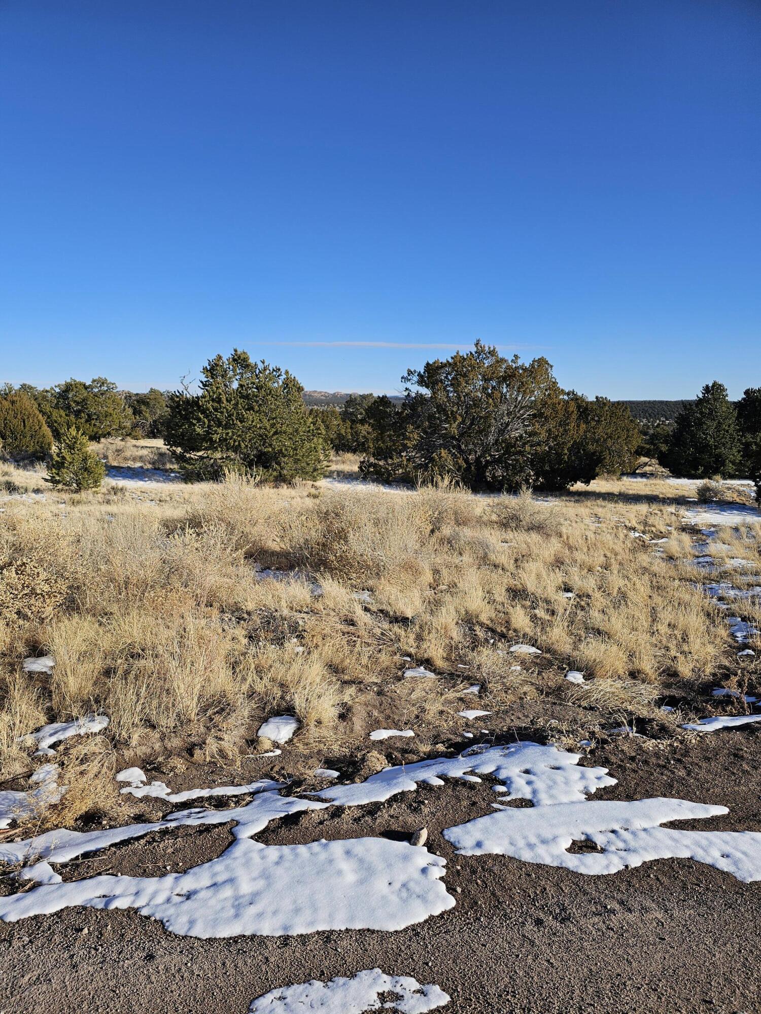 50 Highway 60, Pie Town, New Mexico image 3