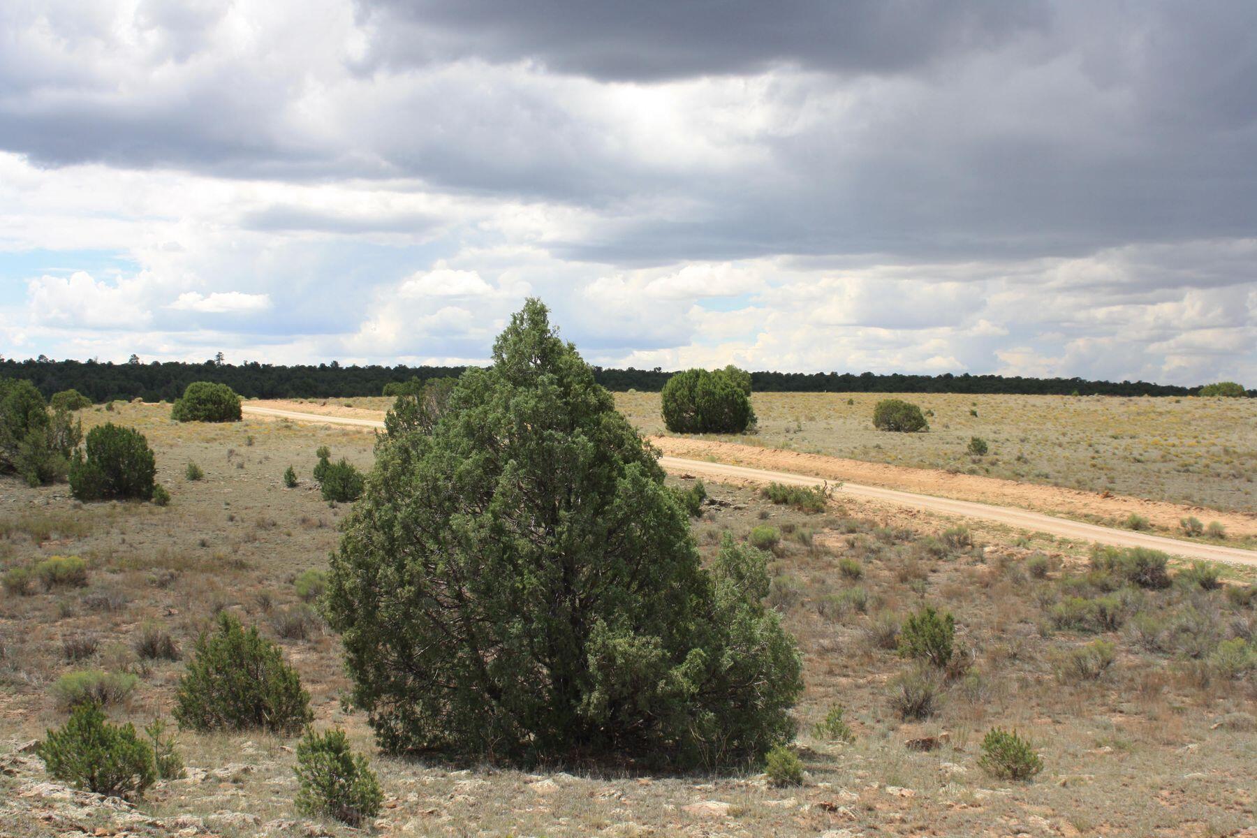 398-399 Cheyenne Drive, Ramah, New Mexico image 4