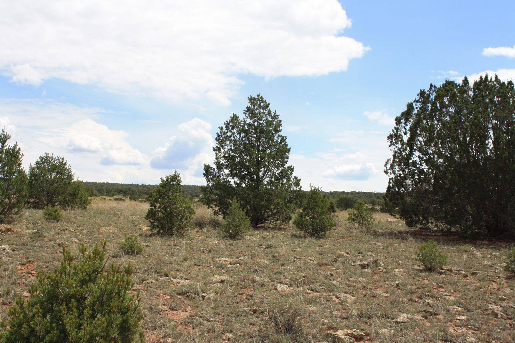 398-399 Cheyenne Drive, Ramah, New Mexico image 34