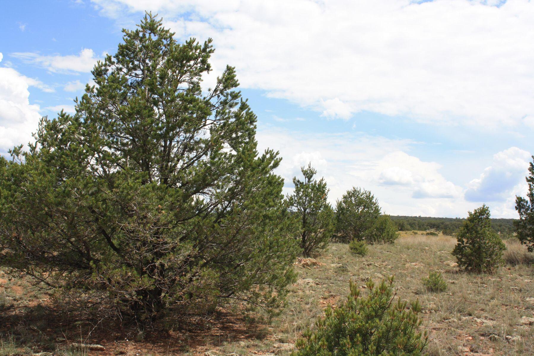 398-399 Cheyenne Drive, Ramah, New Mexico image 33