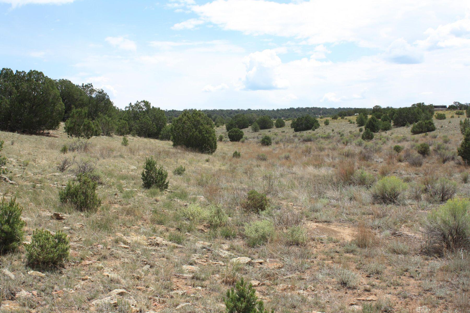 398-399 Cheyenne Drive, Ramah, New Mexico image 29