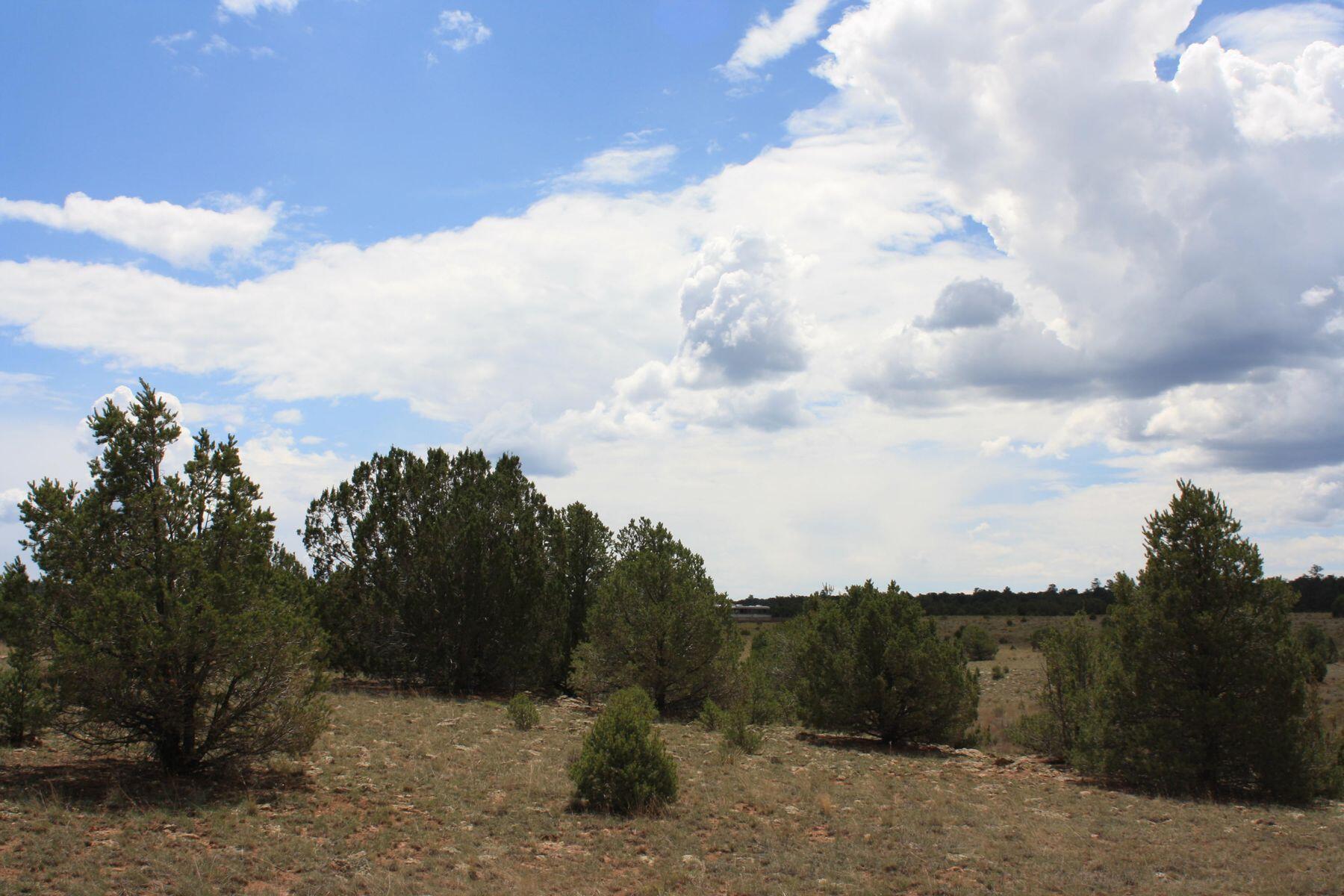 398-399 Cheyenne Drive, Ramah, New Mexico image 42