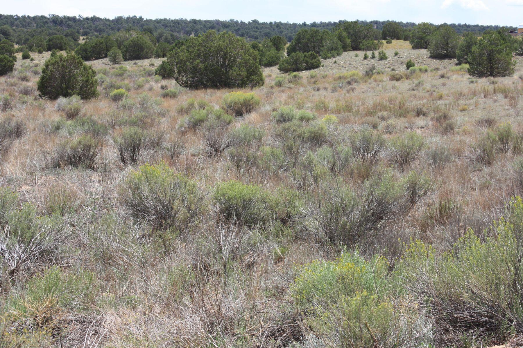 398-399 Cheyenne Drive, Ramah, New Mexico image 11