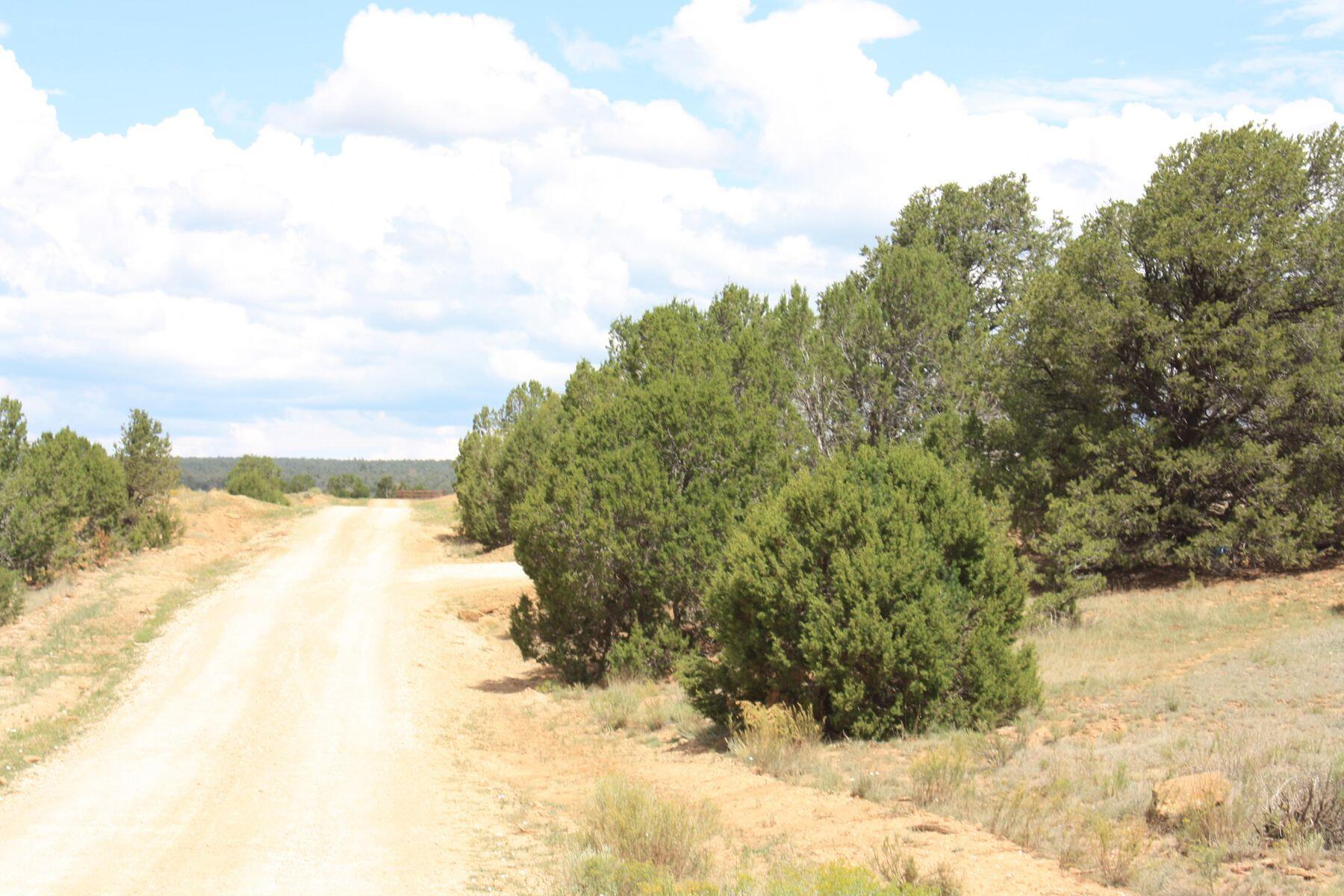 398-399 Cheyenne Drive, Ramah, New Mexico image 20