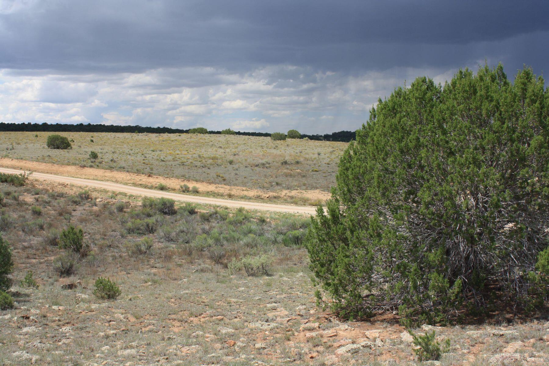 398-399 Cheyenne Drive, Ramah, New Mexico image 36