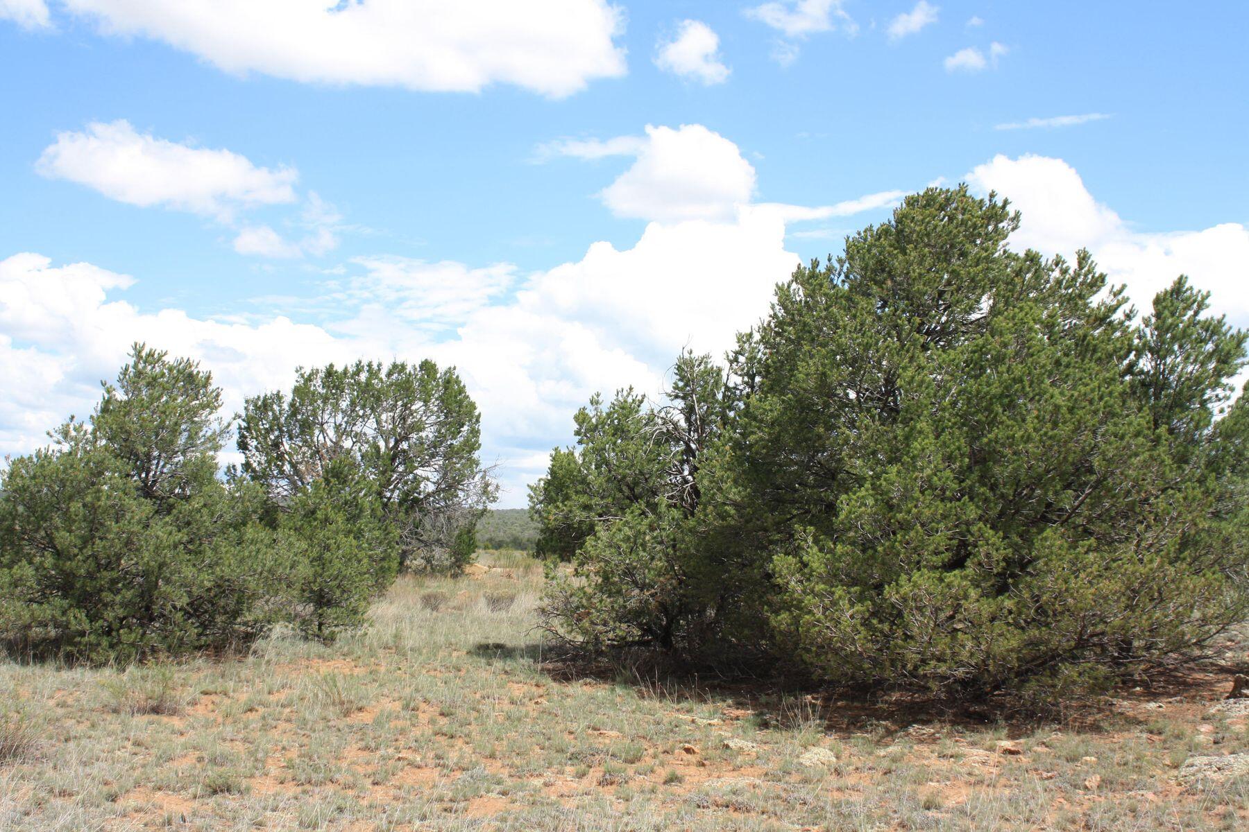 398-399 Cheyenne Drive, Ramah, New Mexico image 31