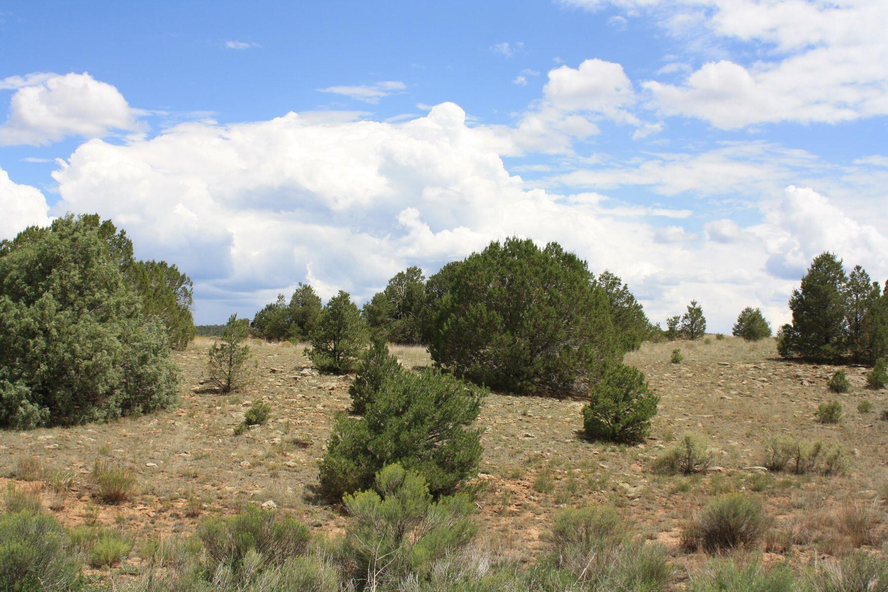 398-399 Cheyenne Drive, Ramah, New Mexico image 9