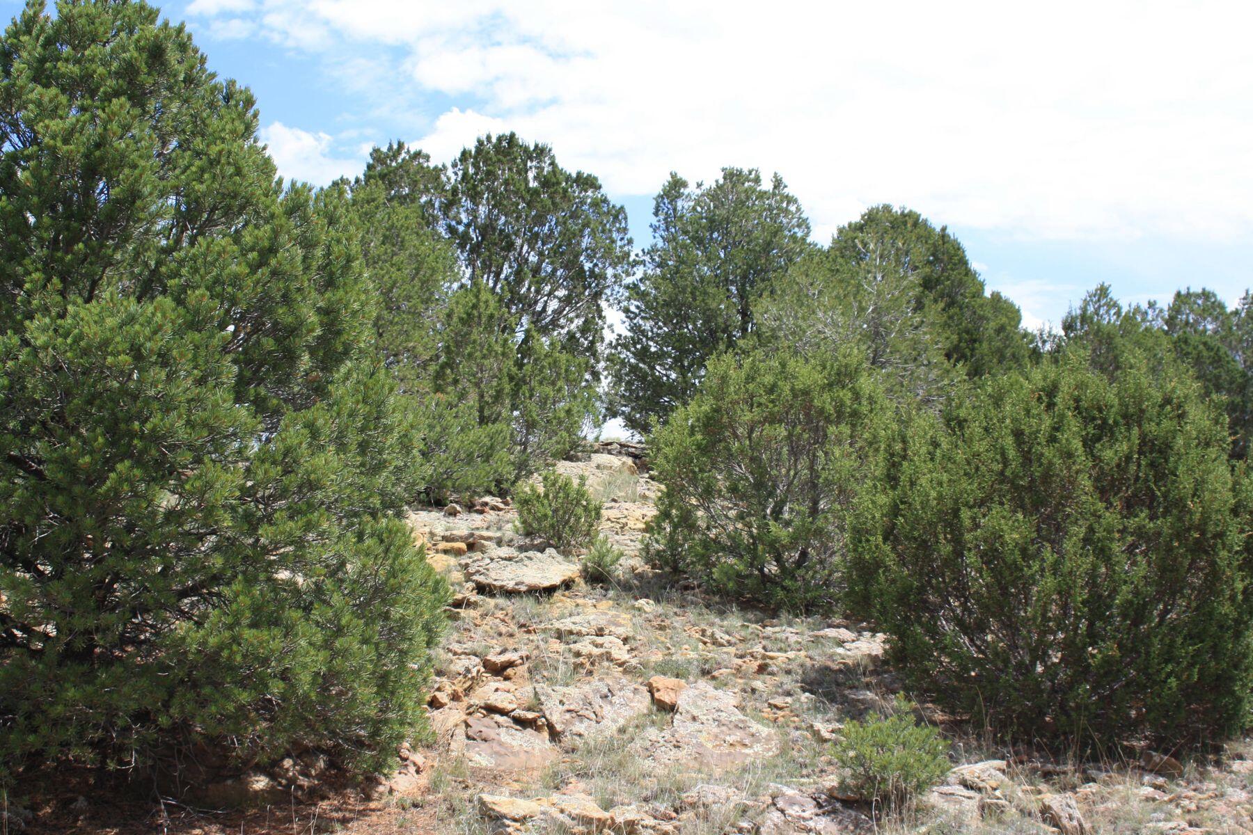 398-399 Cheyenne Drive, Ramah, New Mexico image 8